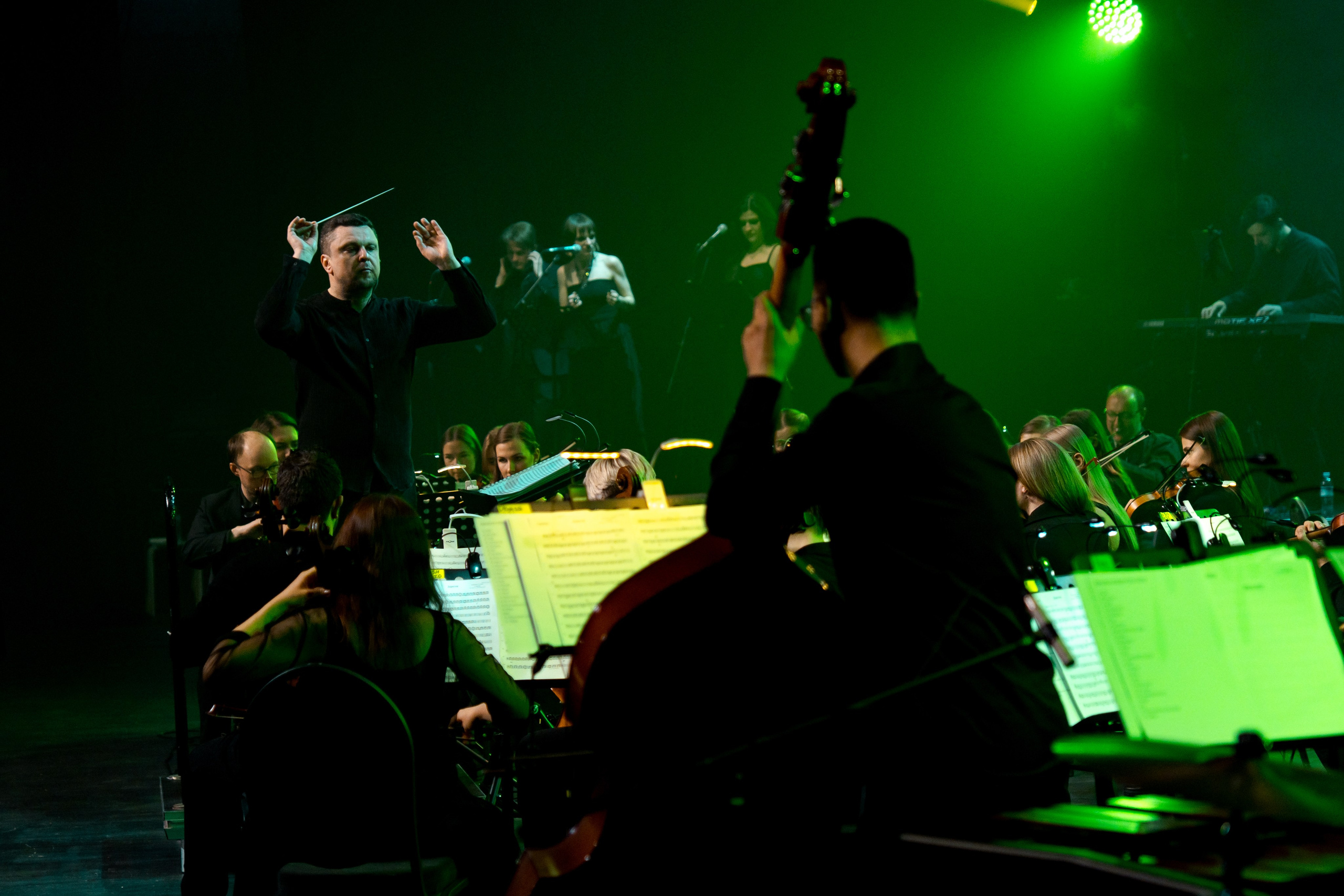 Алексей Горшенёв. Магия музыки в кадре: Концертная Фотография