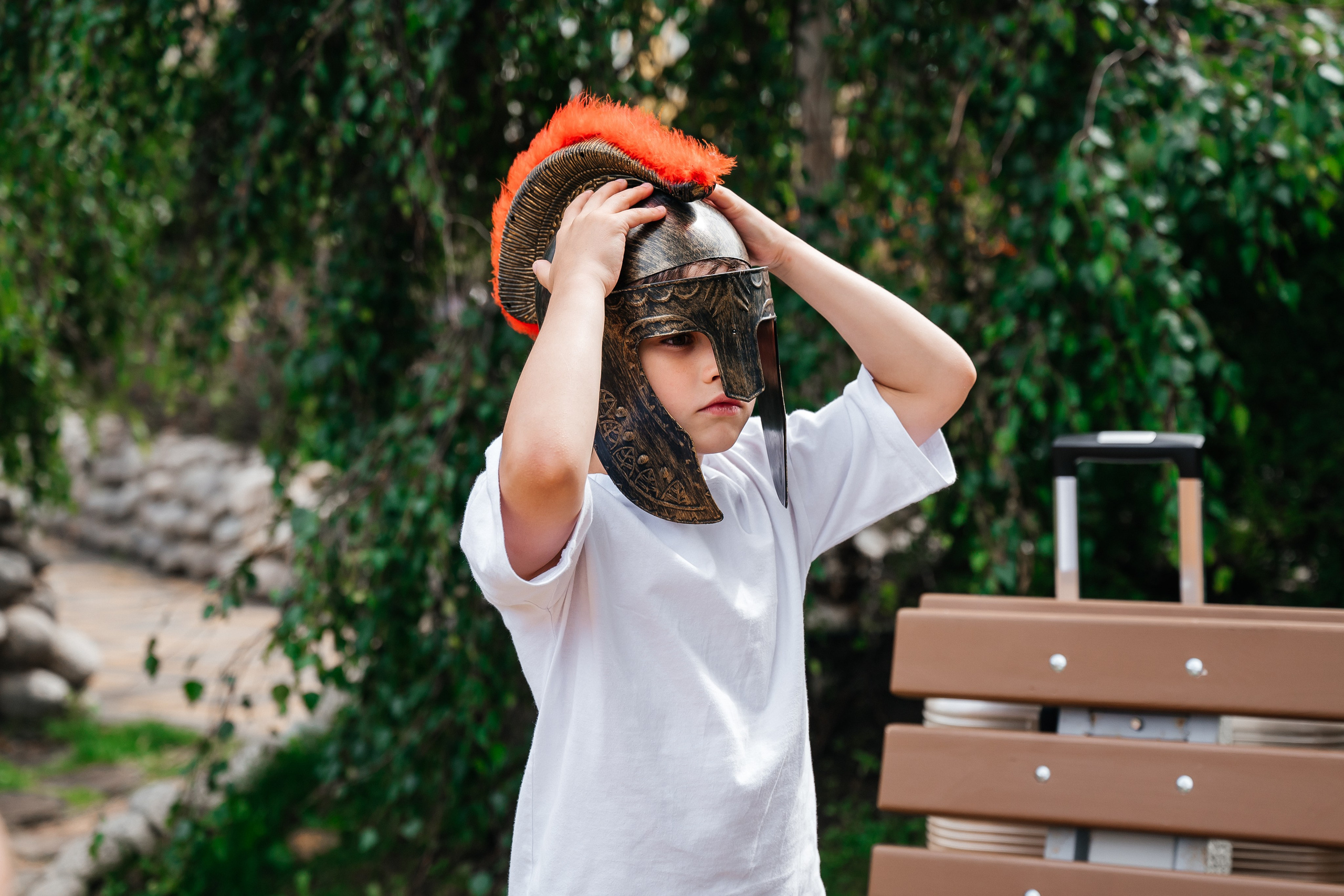 ДР с аниматором