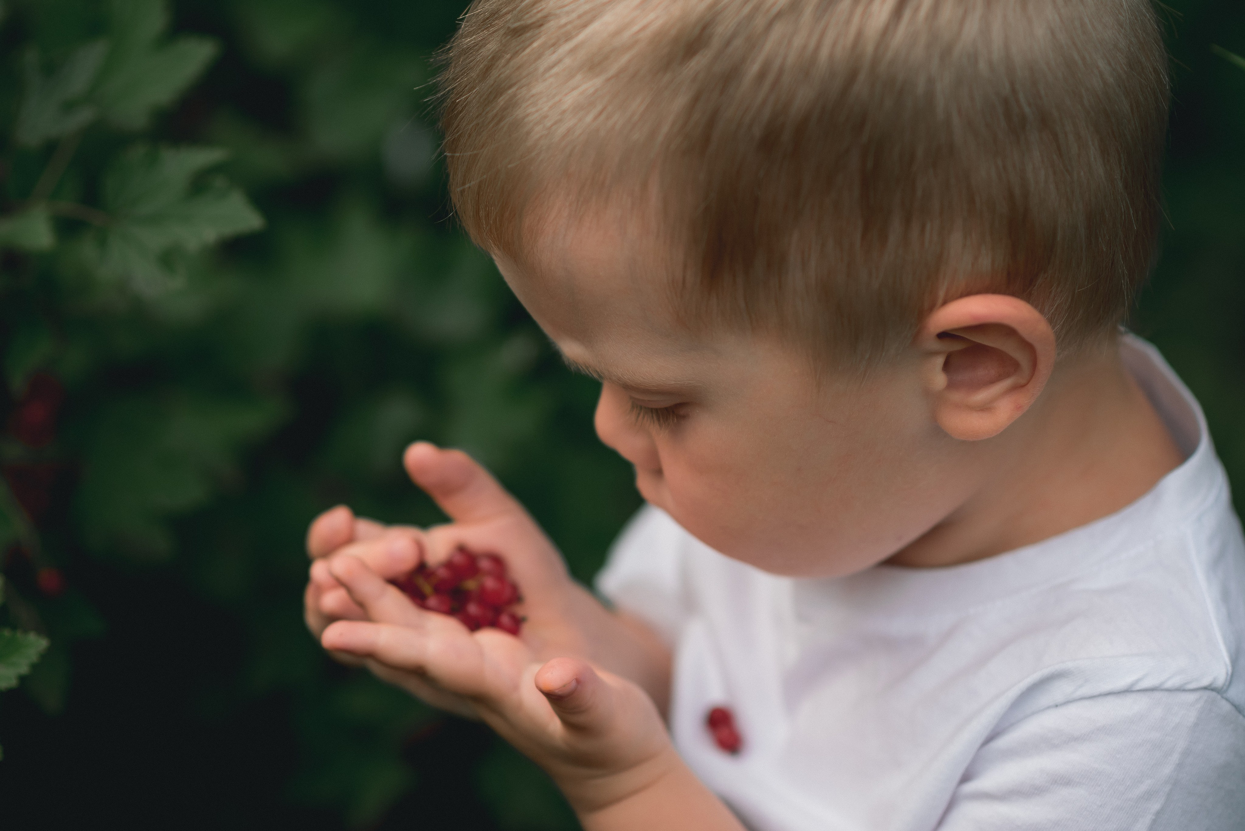 Наш Дом. Фотограф в Ижевске Наталья Медведцева