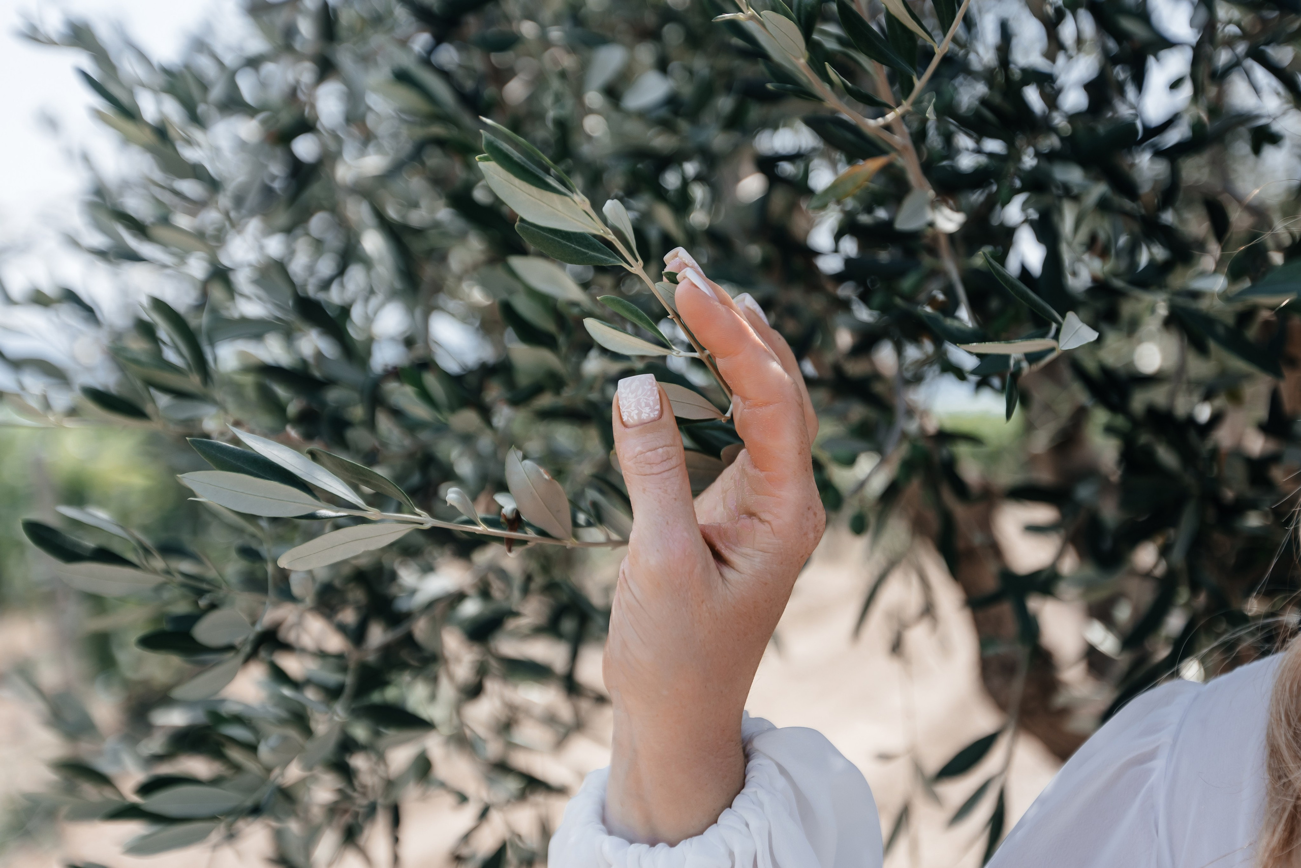 Анонс свадьбы для Даши и Александра. Свадебный фотограф в Крыму и Севастополе Ольга Баскакова