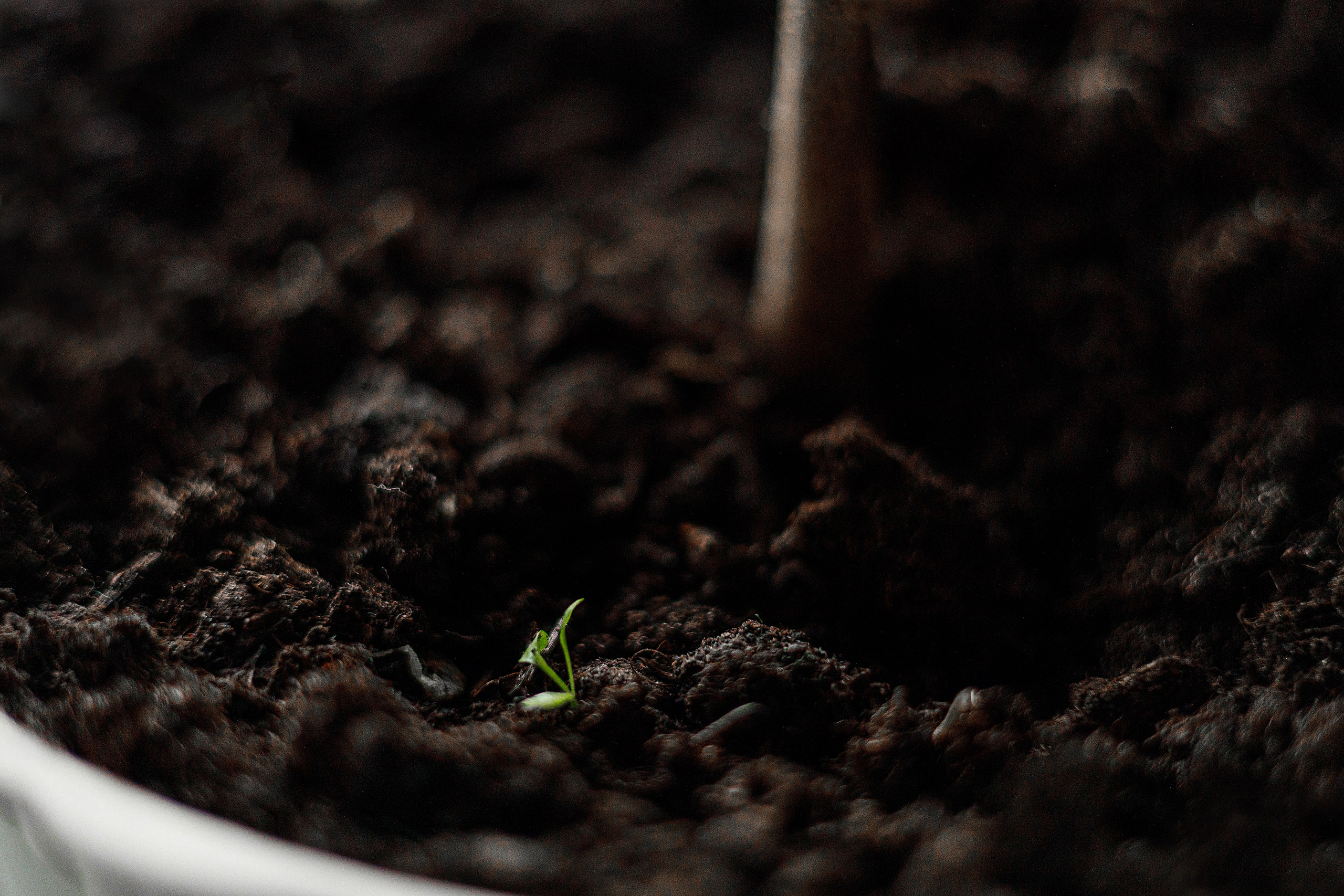 Проект «366»|2024|Фото каждый день. LENA GRACE photographer ||ЛЕНА ГРЭЙС фотограф