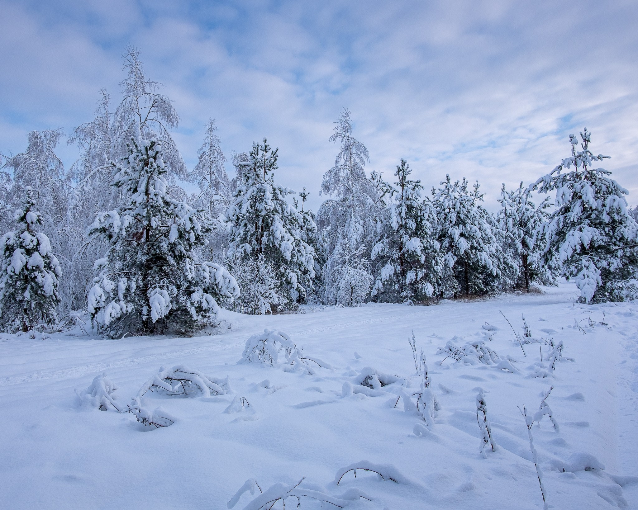 Авторская фотография фотографа Бориса Флорина