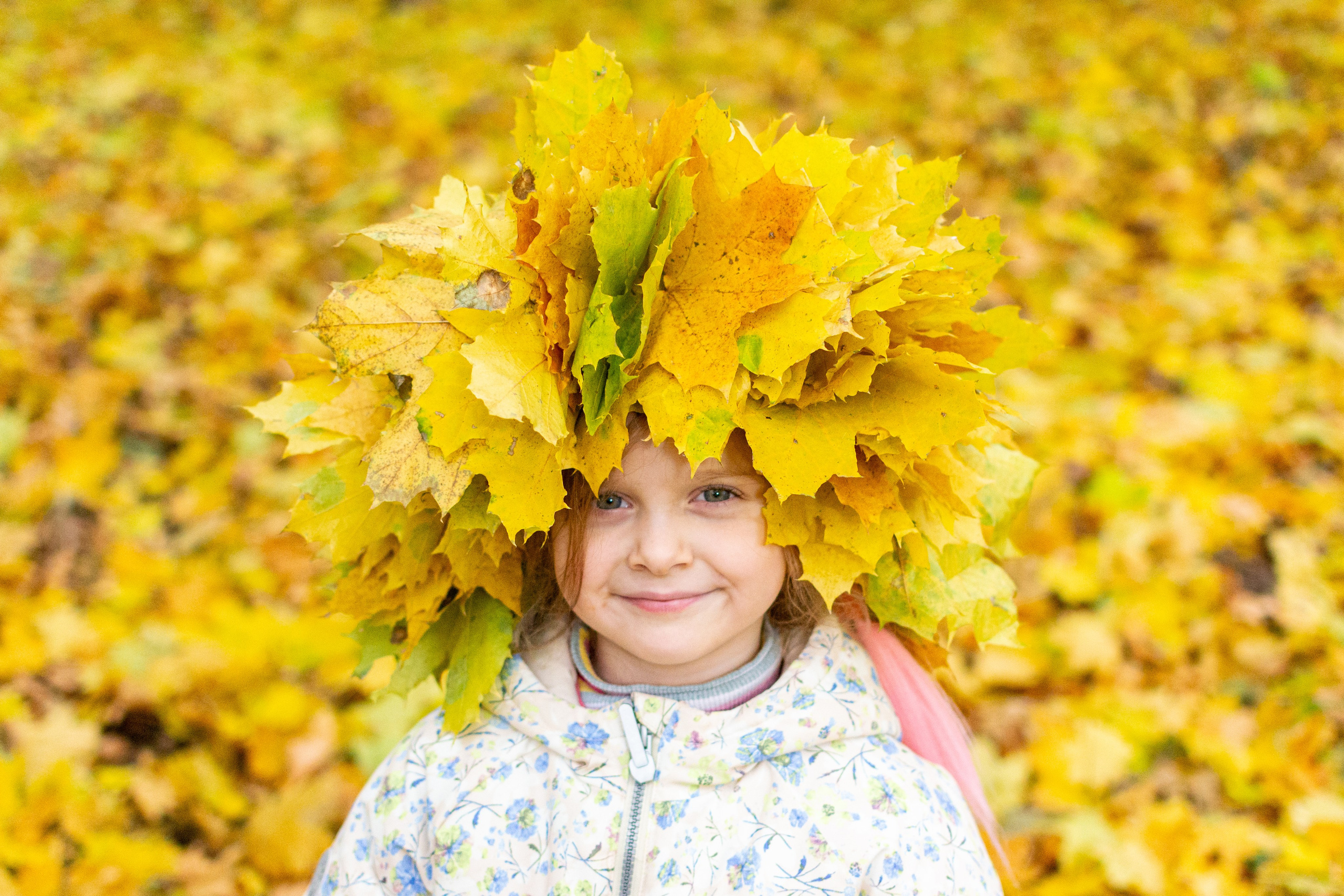 Старенький Nikon 3100 и nikkor 35 mm 1.8 (фото проявленные из RAW-NEF файлов). Фотограф в Туле Крупский АнДРей. Фотостудия «КАДР71» в Туле