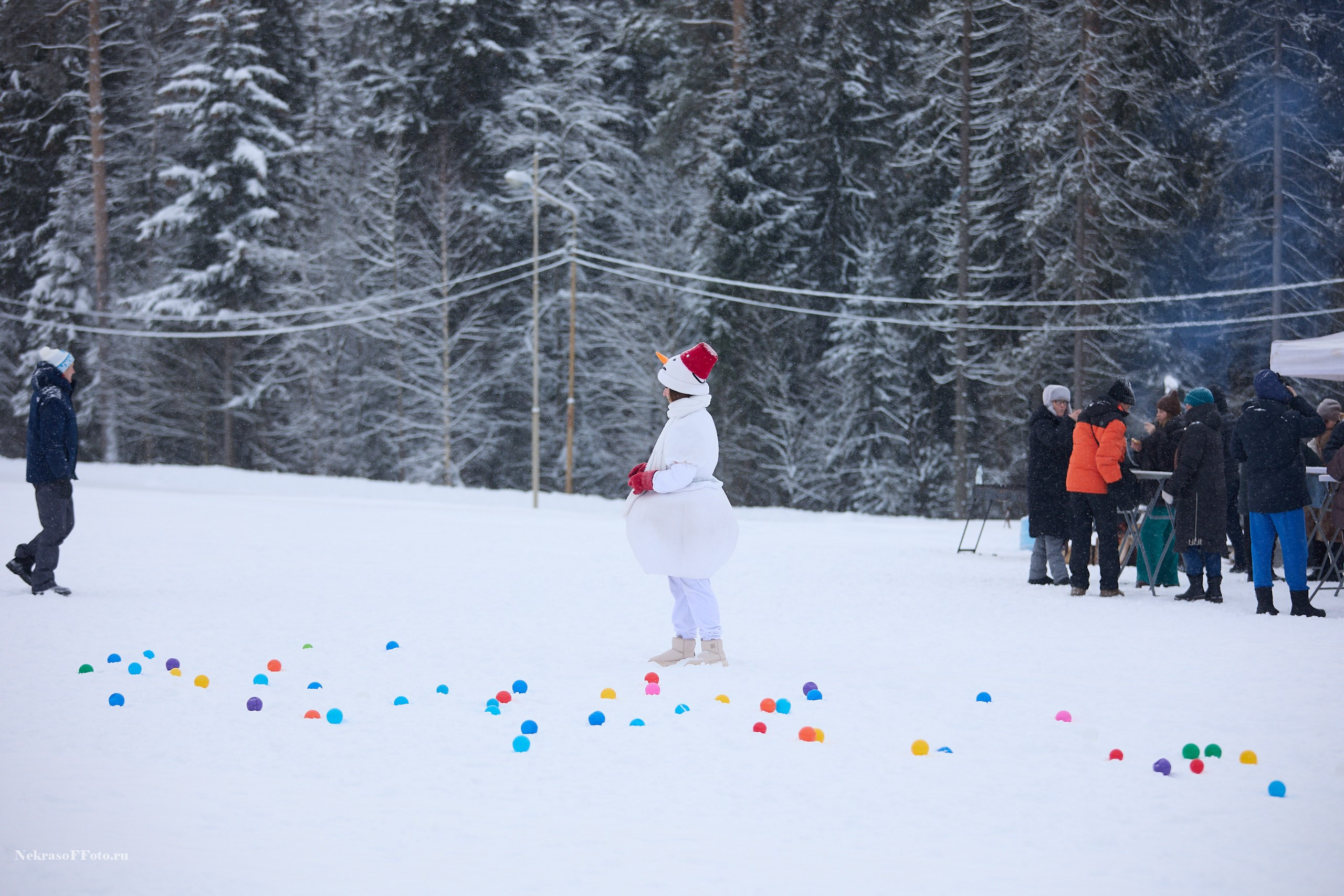 Кубок России по Лыжным гонкам. Спортивный фотограф Некрасов Денис