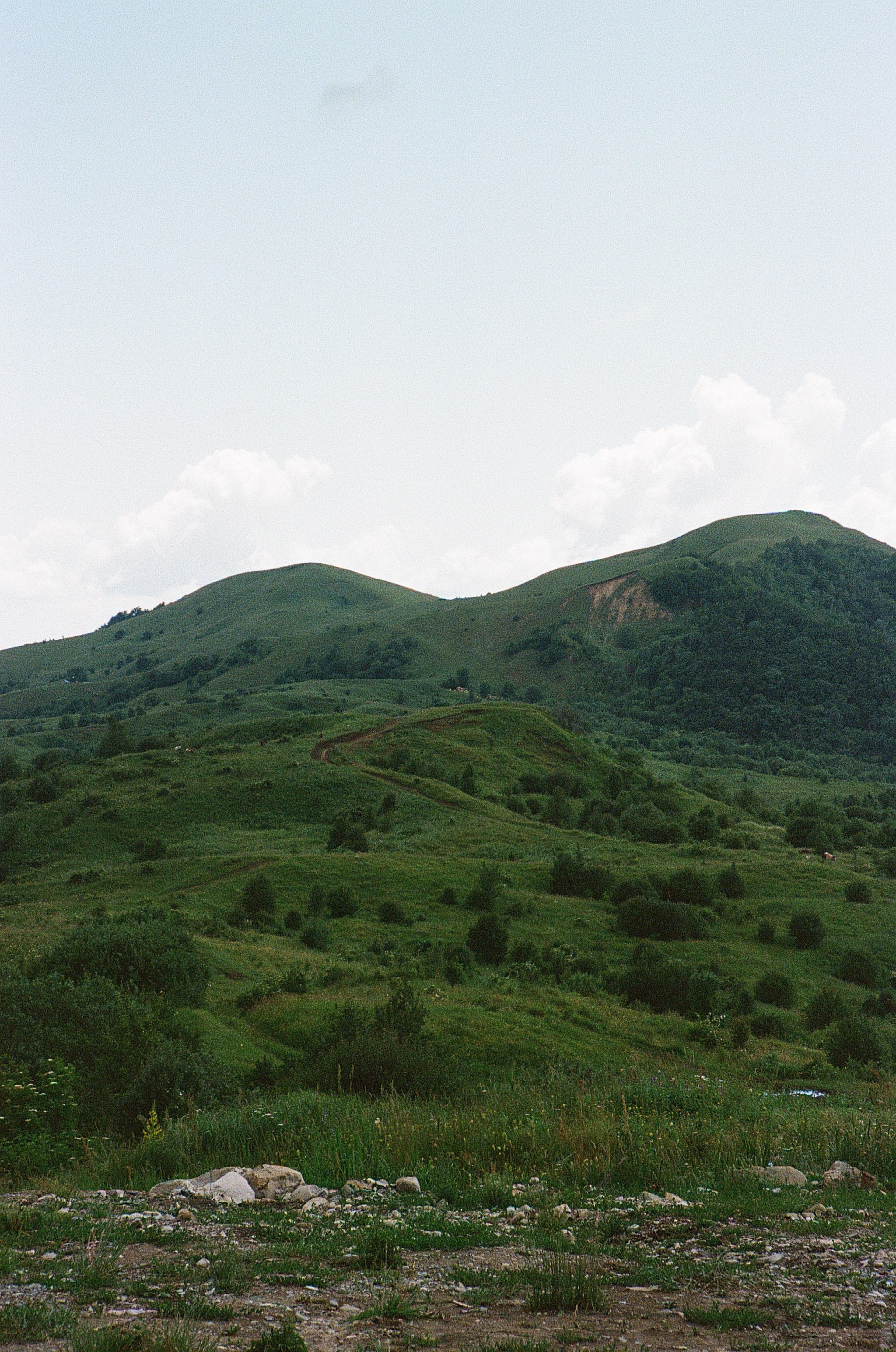 ГРУЗИЯ. ПРИРОДА.25. Профессиональный фотограф Федотова Арина