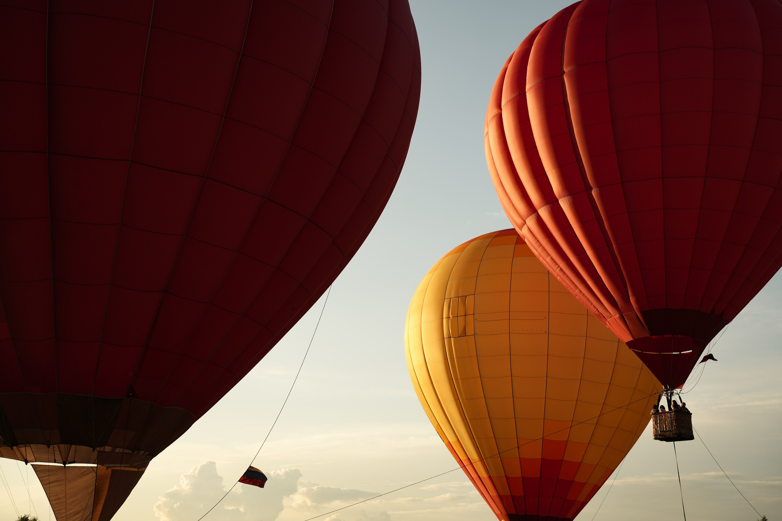 Фестиваль шаров Переславль. Свадебный и семейный видеограф в Москве Гера Филатов