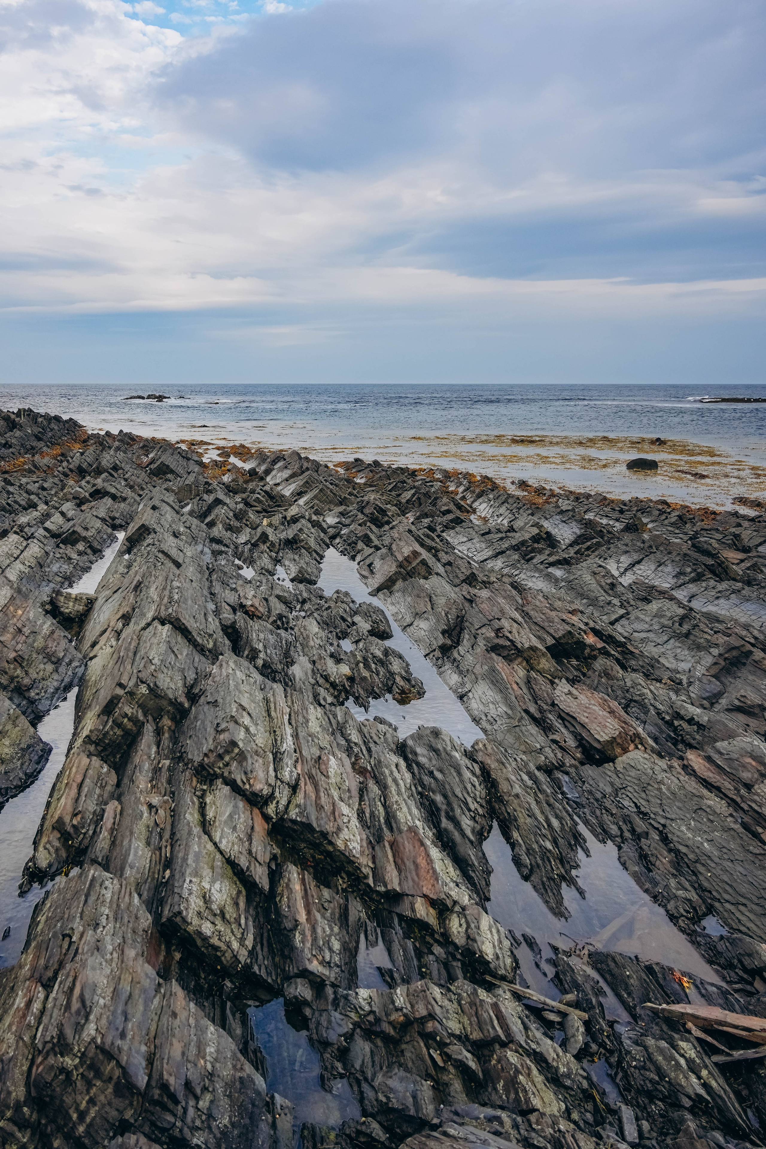 СЕВЕР. Event фотограф Степанова Александра