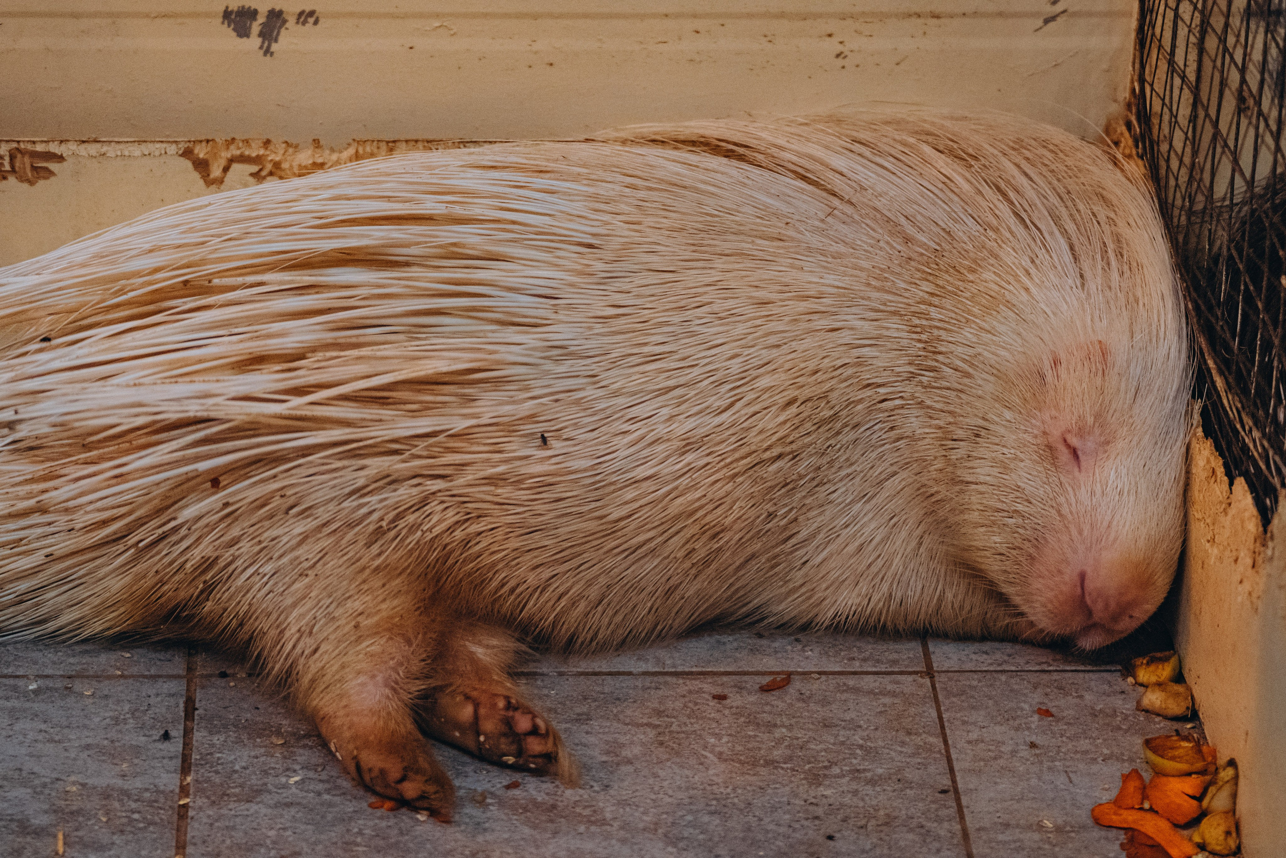 СЕВЕР. Event фотограф Степанова Александра