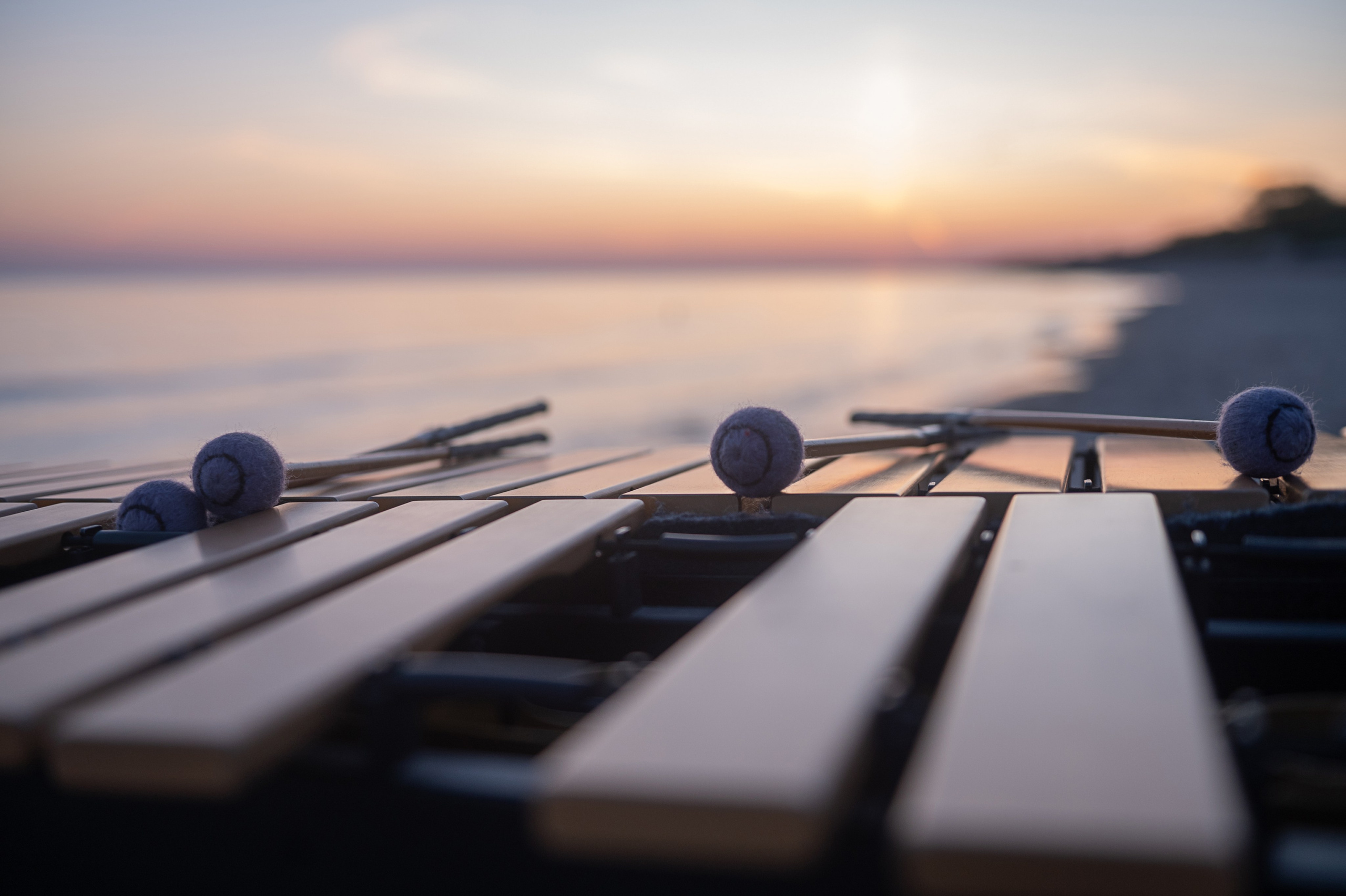 КОНТЕНТ. Фотограф Вера Демидкова