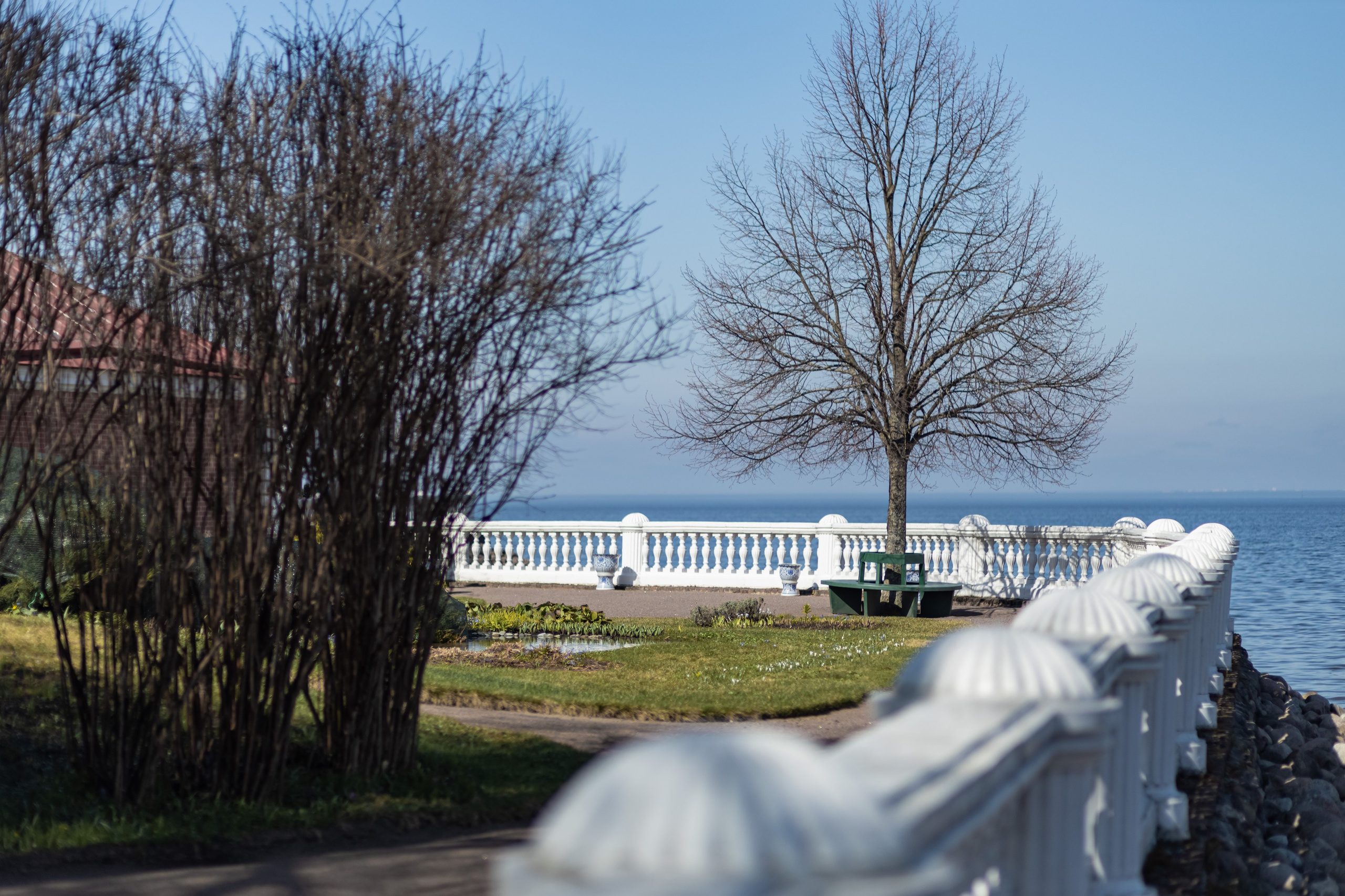 Петергоф нижний парк фото