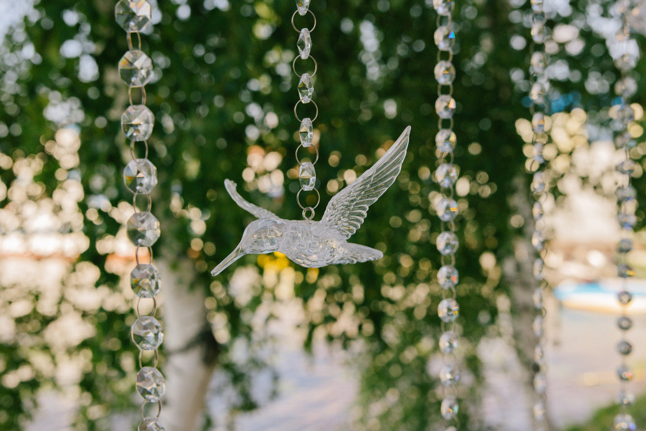 Денис и Наталья. Организация и координация свадебных и семейных торжеств