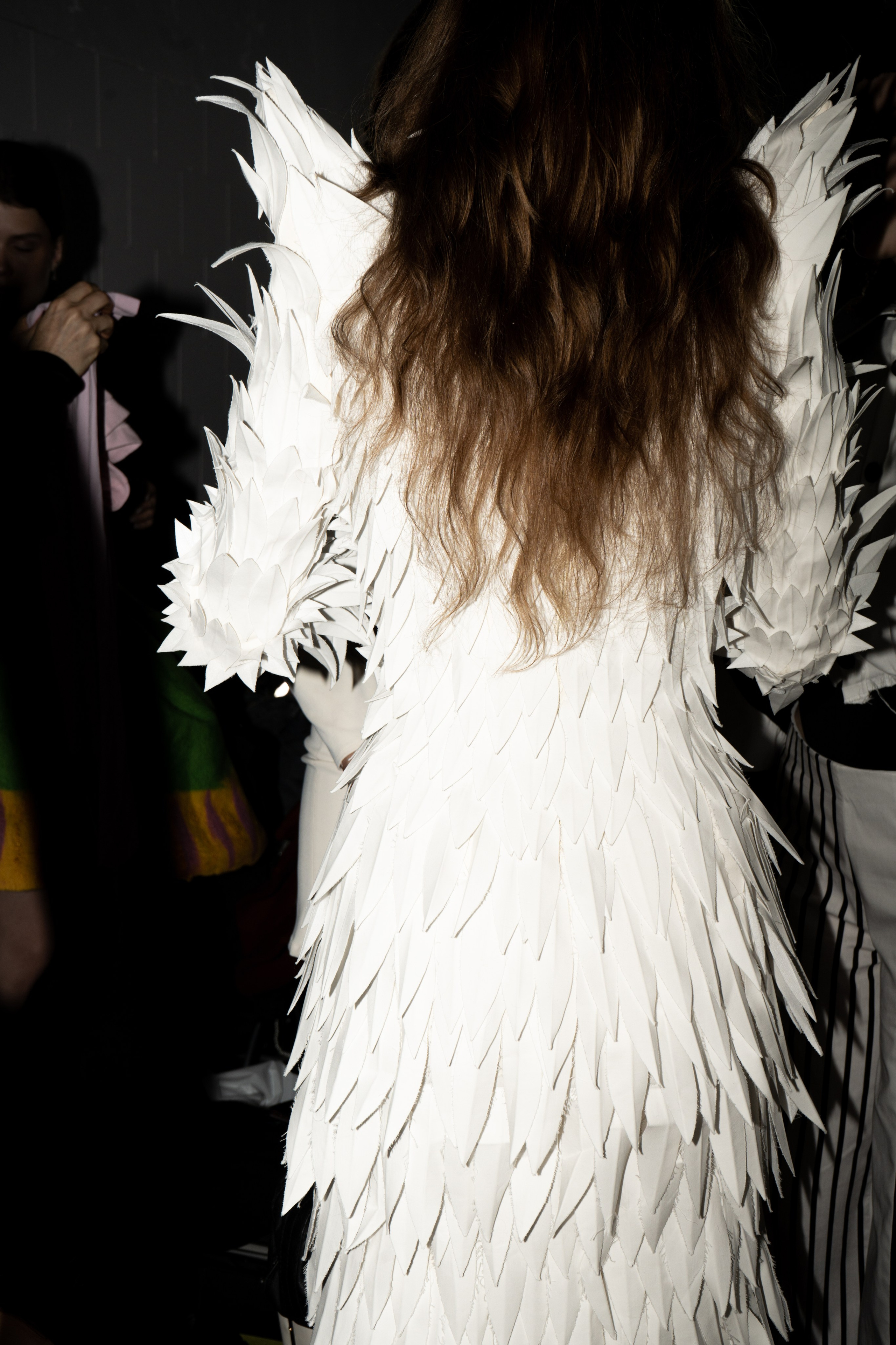 BSD. Фотограф Гвоздева Варвара / Москва