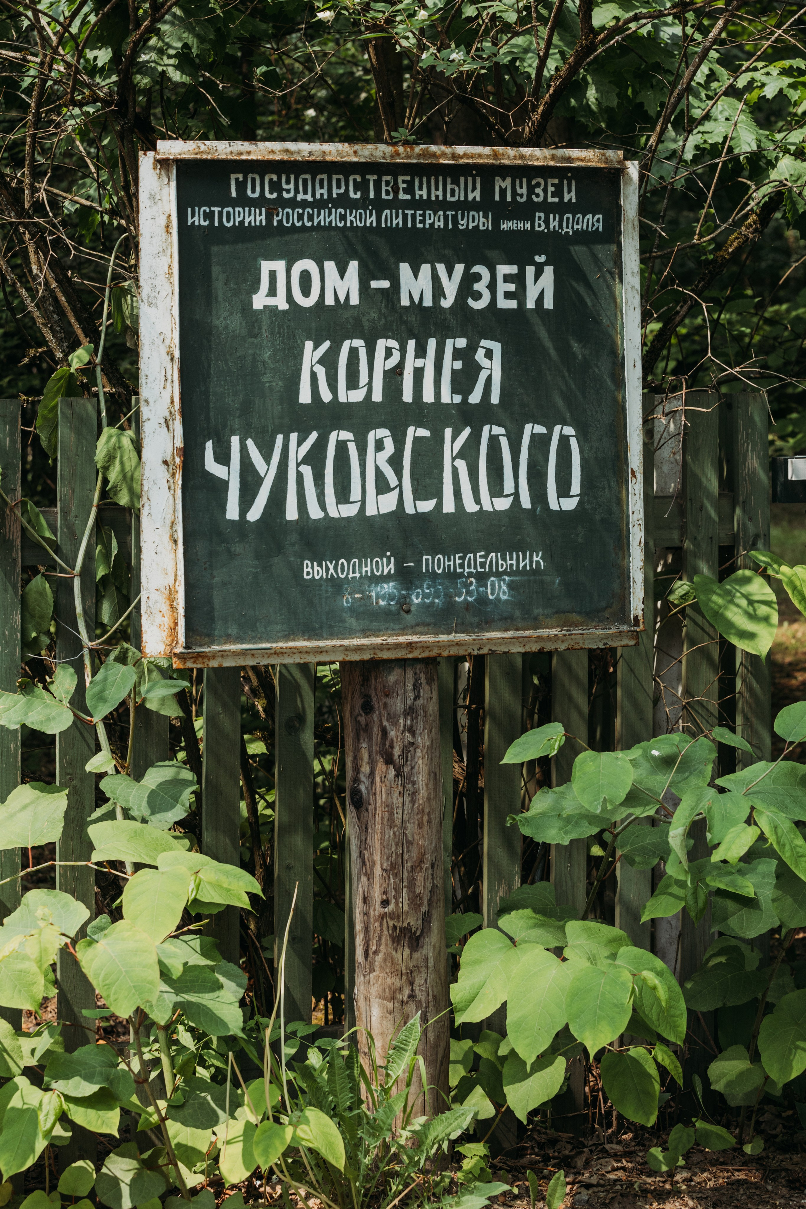 Родные люди «Переделкино». Леся Гаранина. Семейный фотограф/видеограф Москва и область