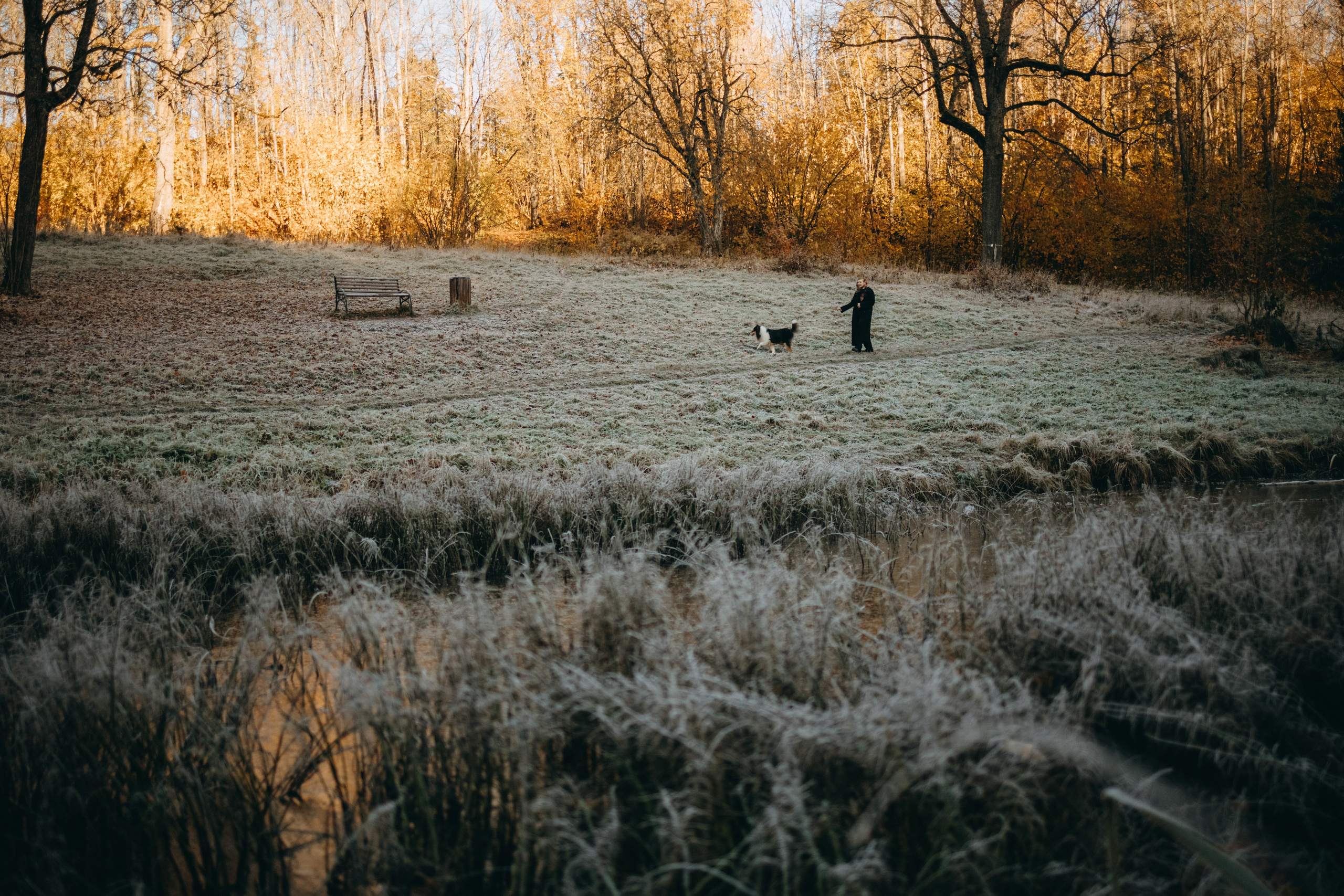 Ия и Барт. Фотограф — Анималист | Санкт-Петербург
