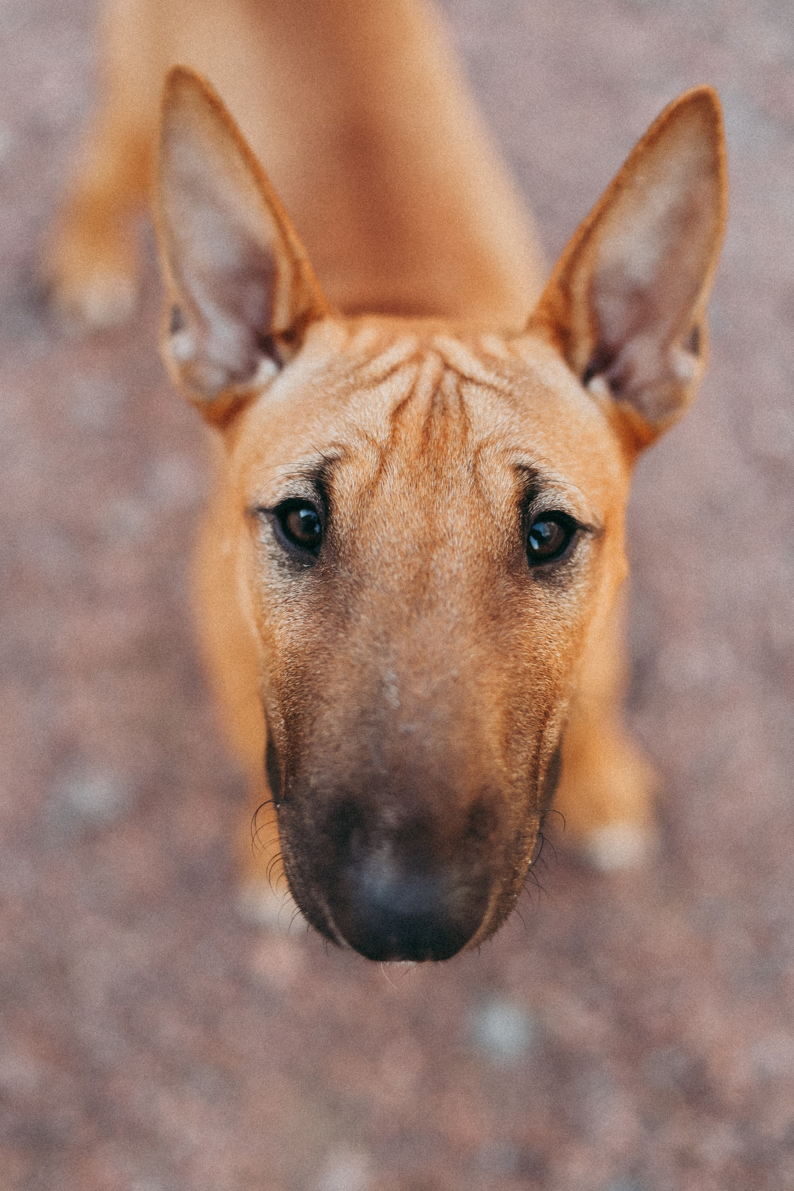 2. Фотограф Москва и Санкт-Петербург