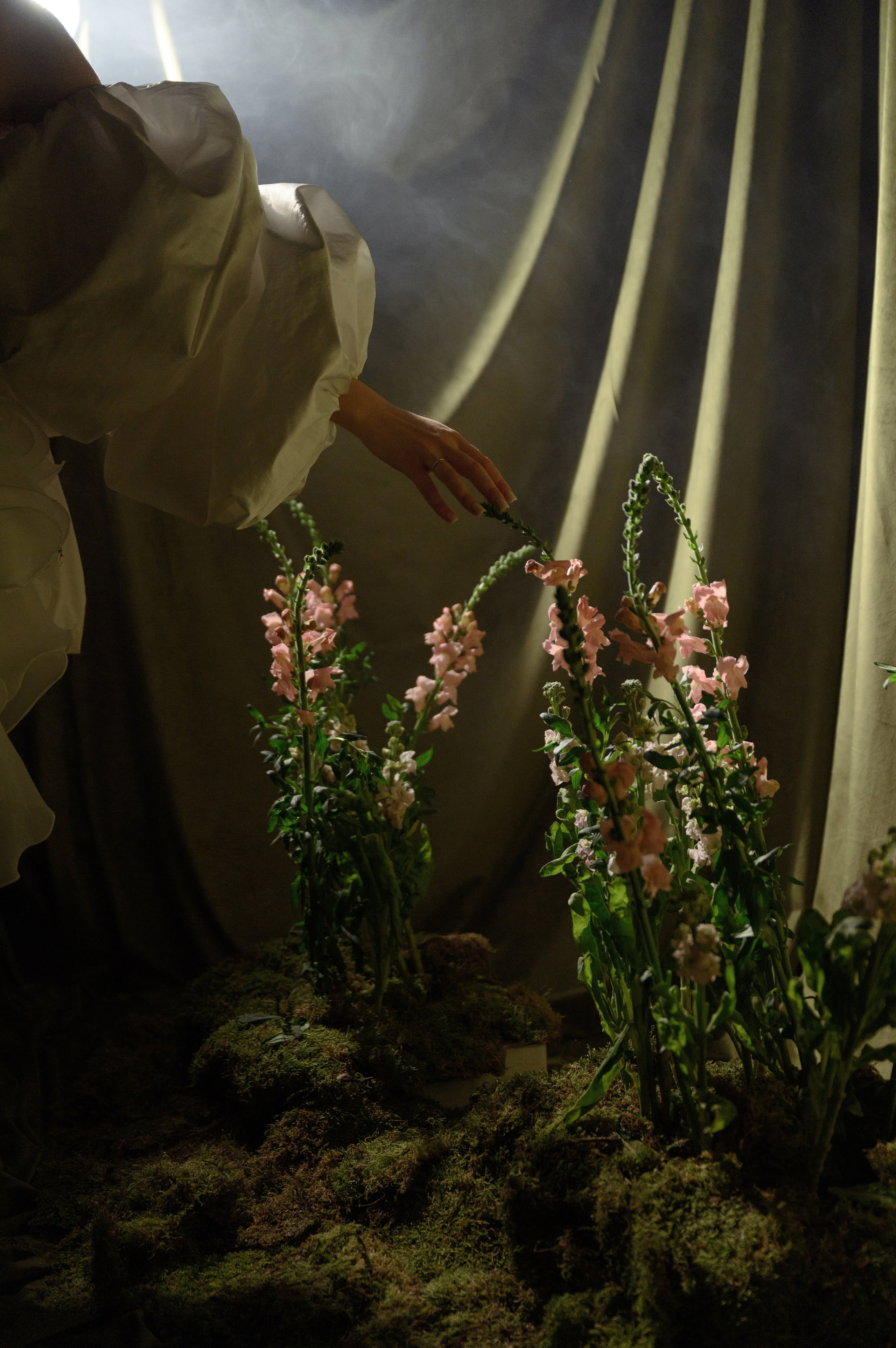 Максим и Яна. Свадебный фотограф и видеограф