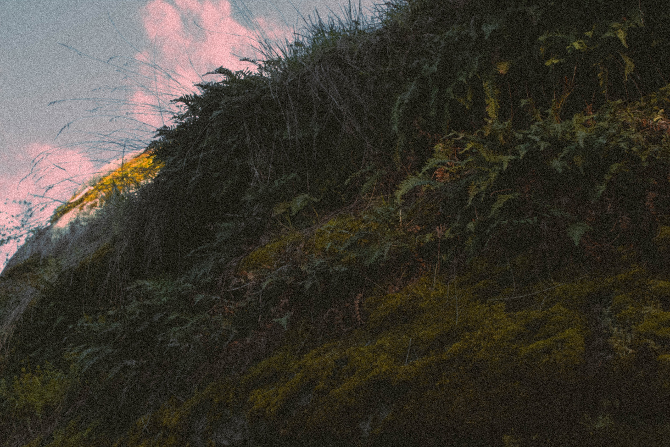 «Без названия»