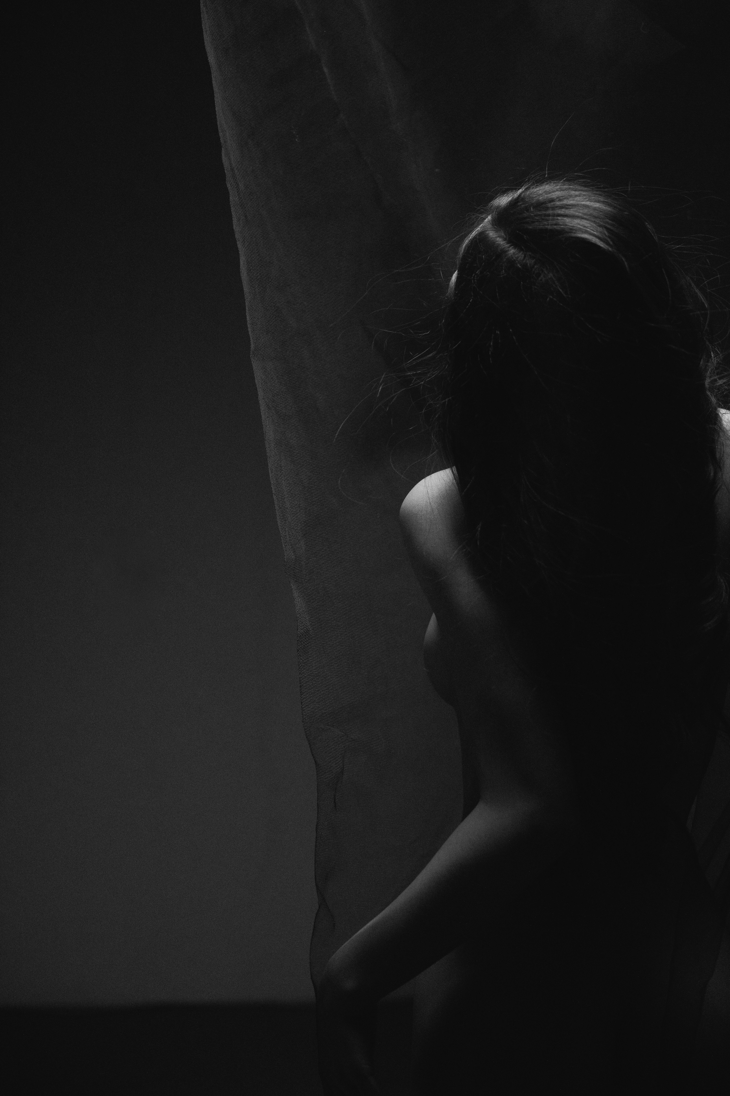 Алана. Фотограф Шейдаев Эмин г. Волгоград