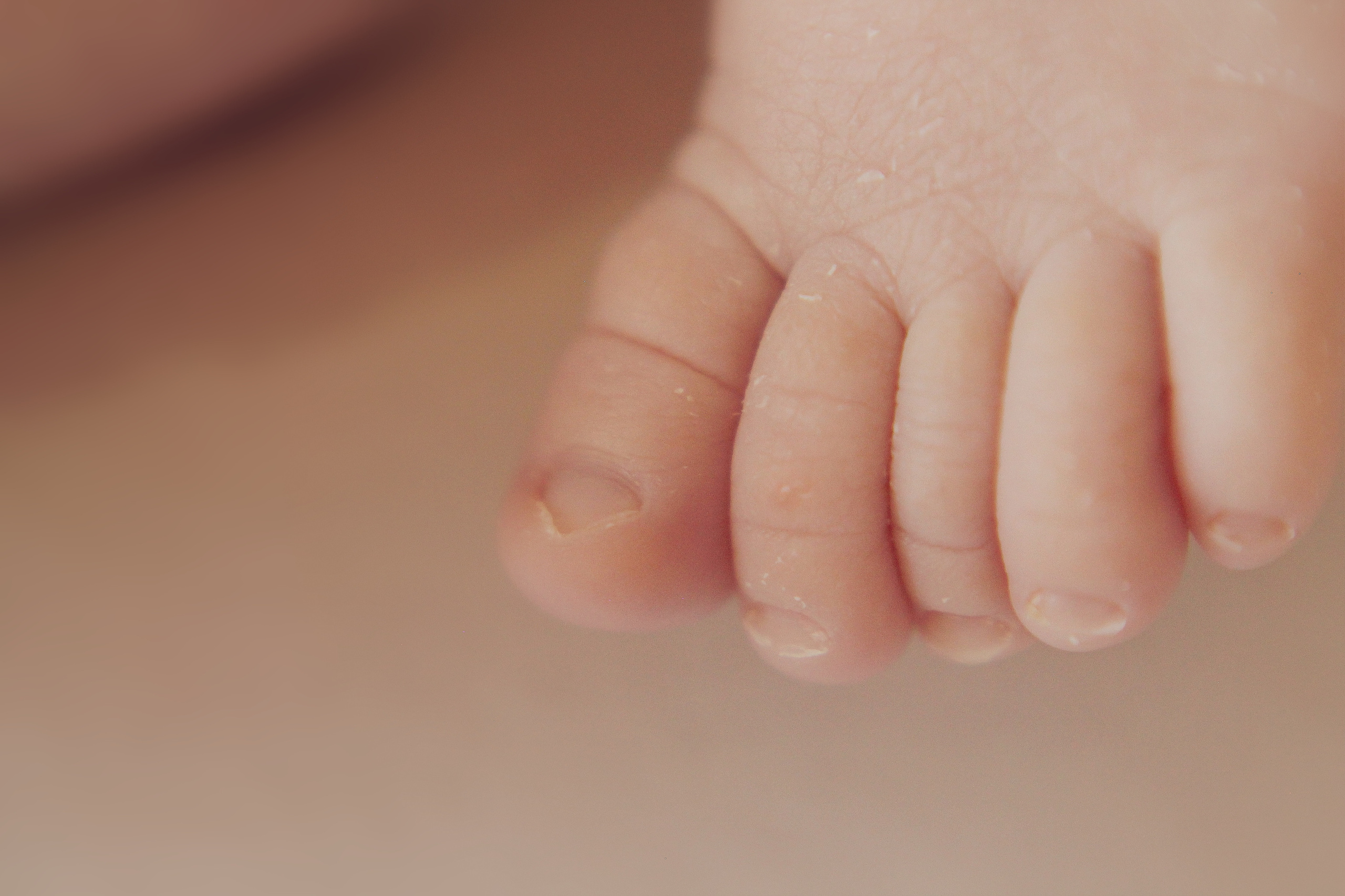 Макроснимки. Ольга Вехтер. Детский и семейный фотограф в Краснодаре