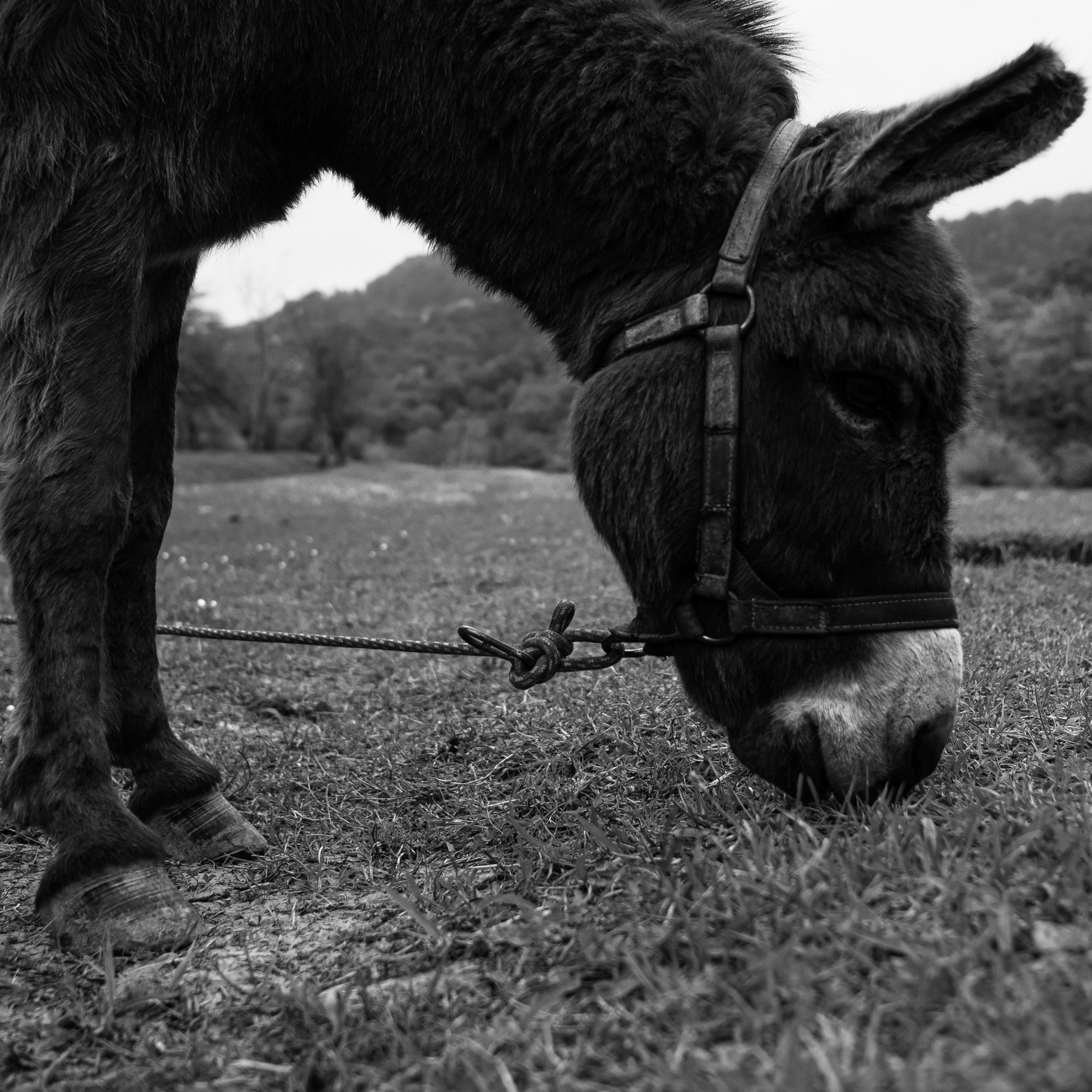 Сочи, 2022. Портретный фотограф в Москве Евгения Яковенко