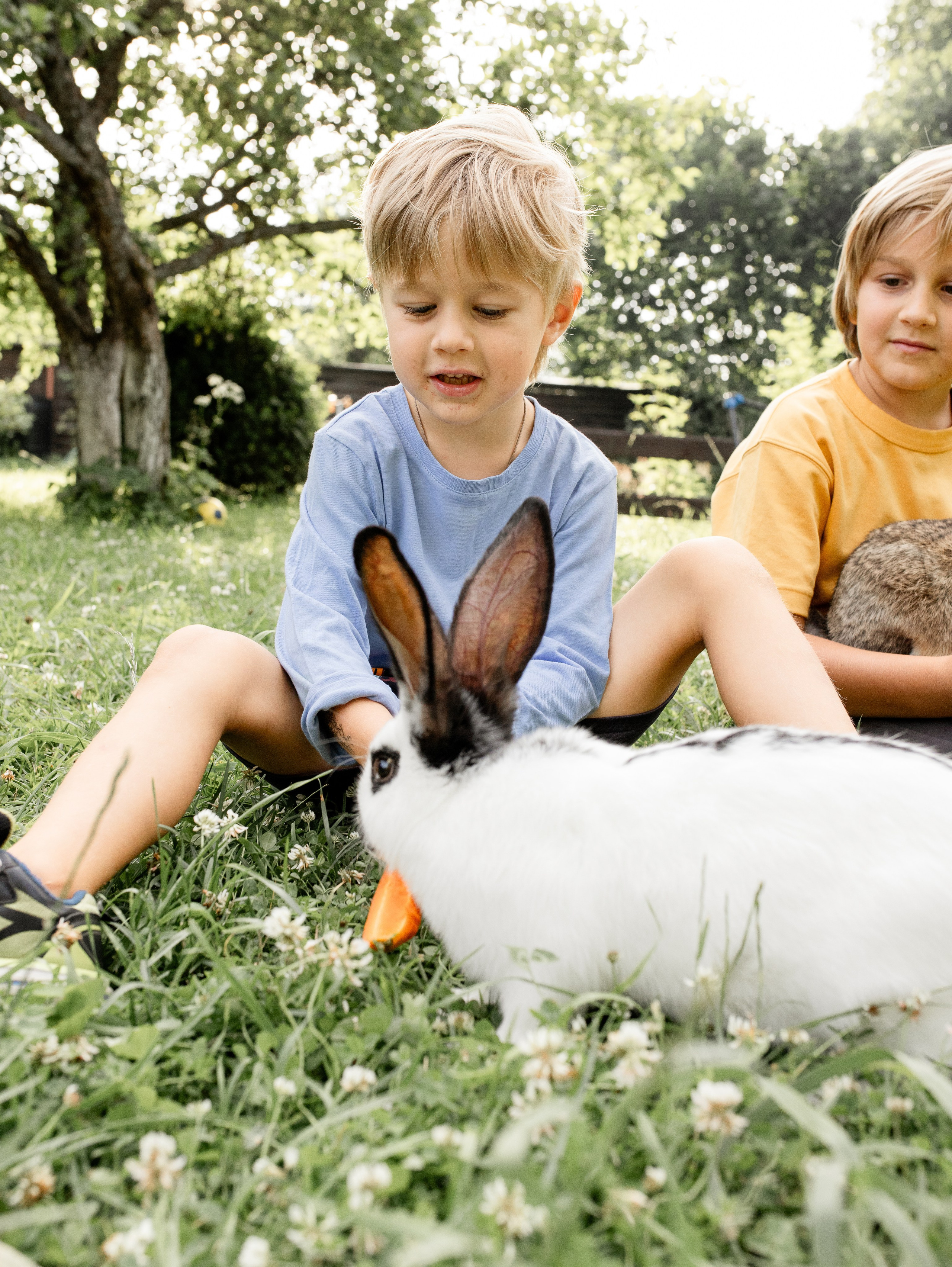 Кролики 2023. Семейный фотограф в Санкт-Петербурге Ирина Иванова