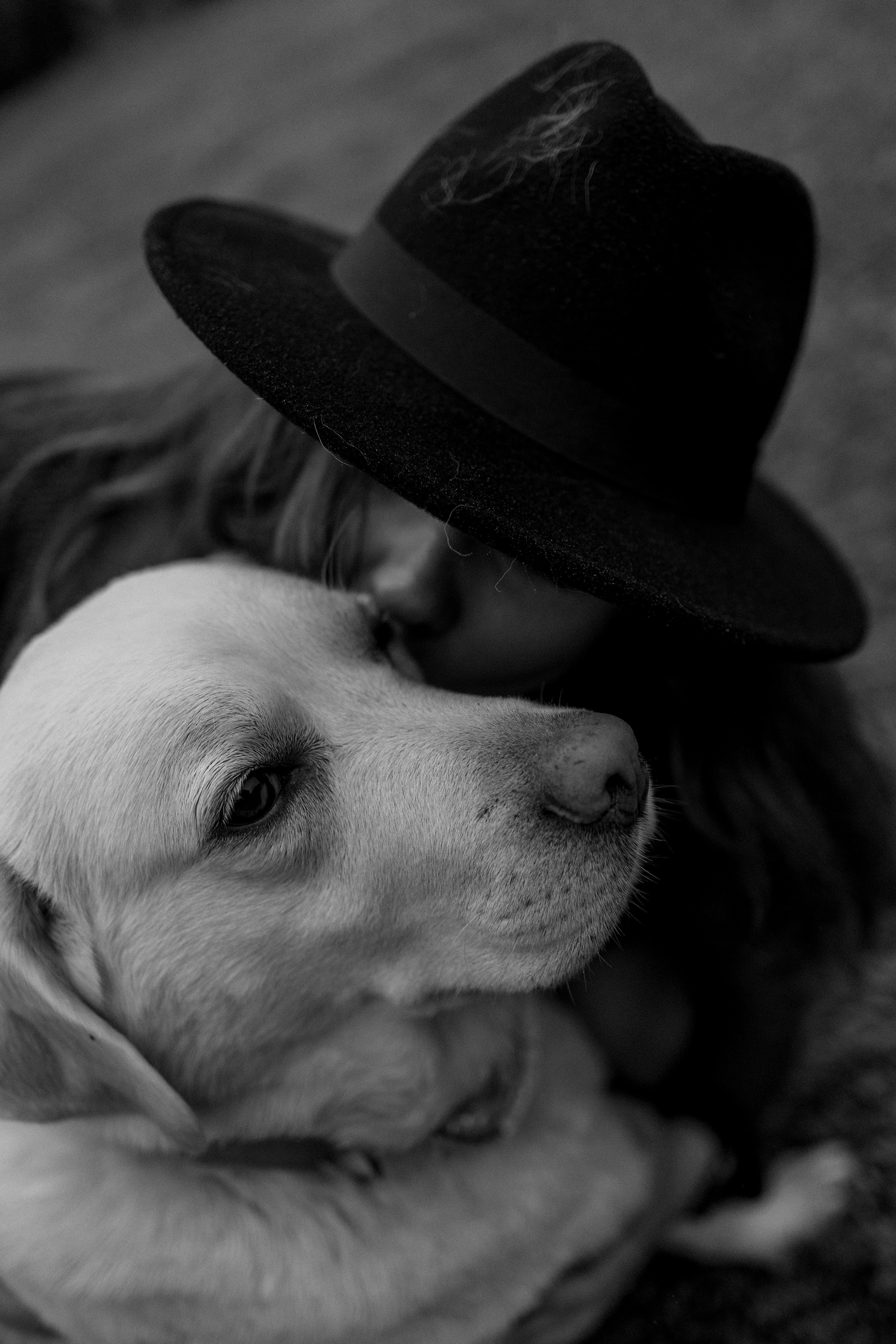 Женя и ее девочки. Фотограф — Анималист | Санкт-Петербург