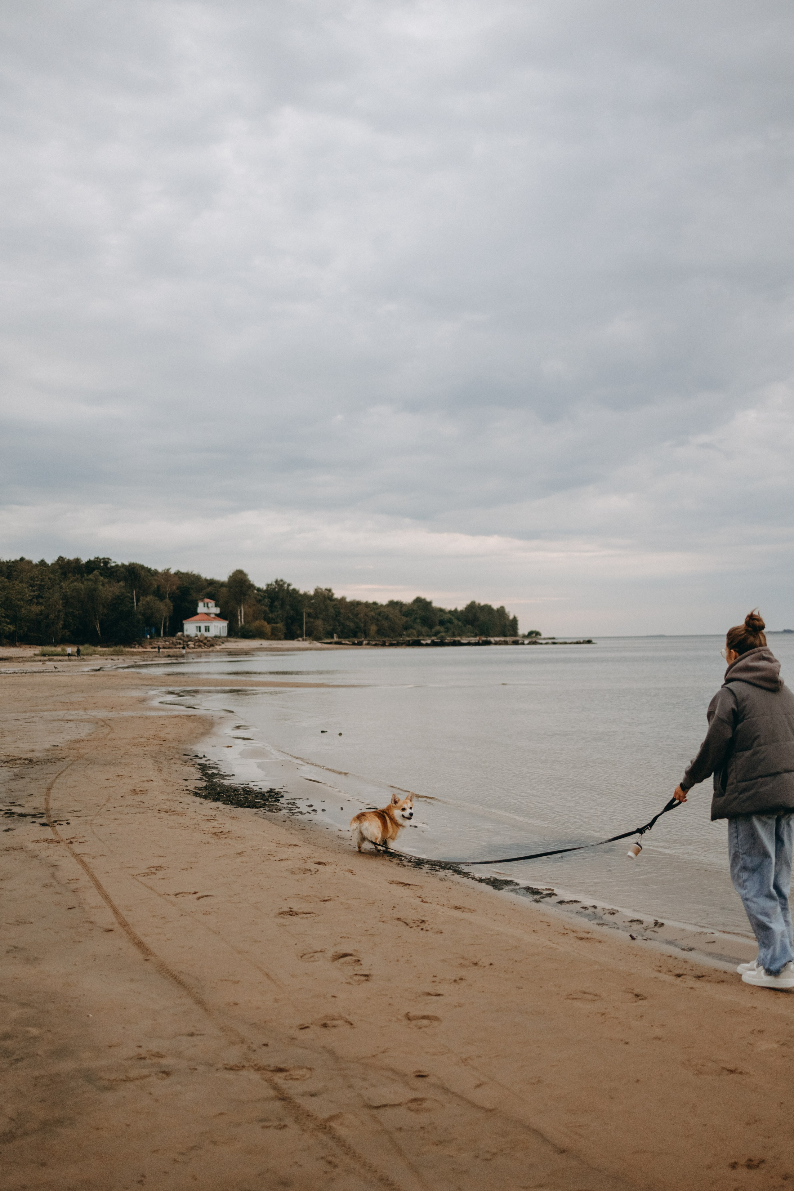Лиза и Бакс. Фотограф — Анималист | Санкт-Петербург