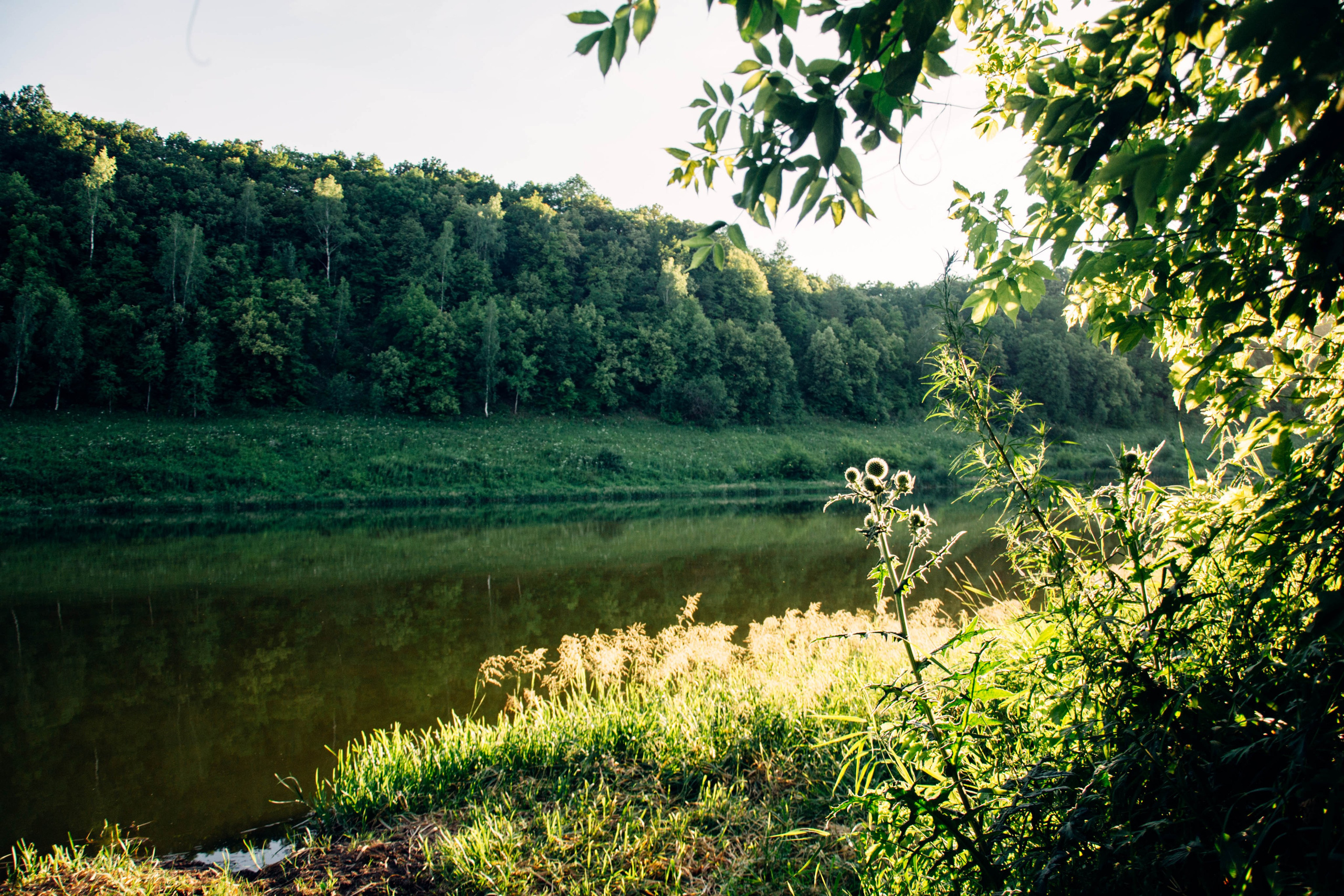 Природа, города. Главная