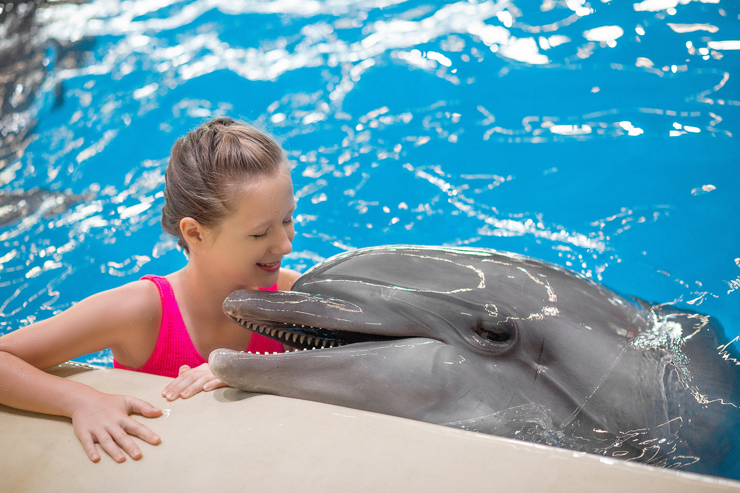 Катя и дельфины. Фотосессия с лошадьми в Нижнем Новгороде