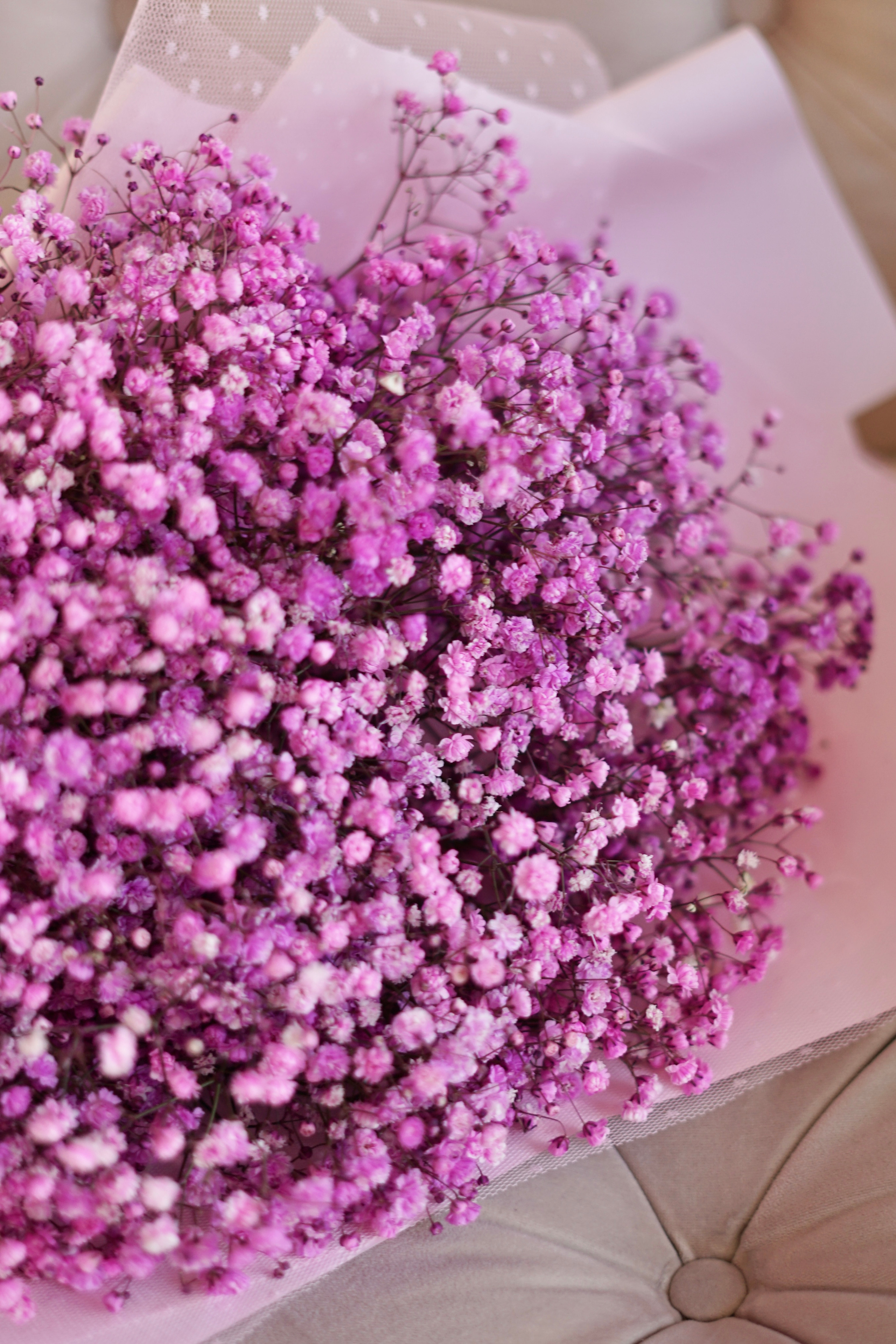 Виктория. Главная