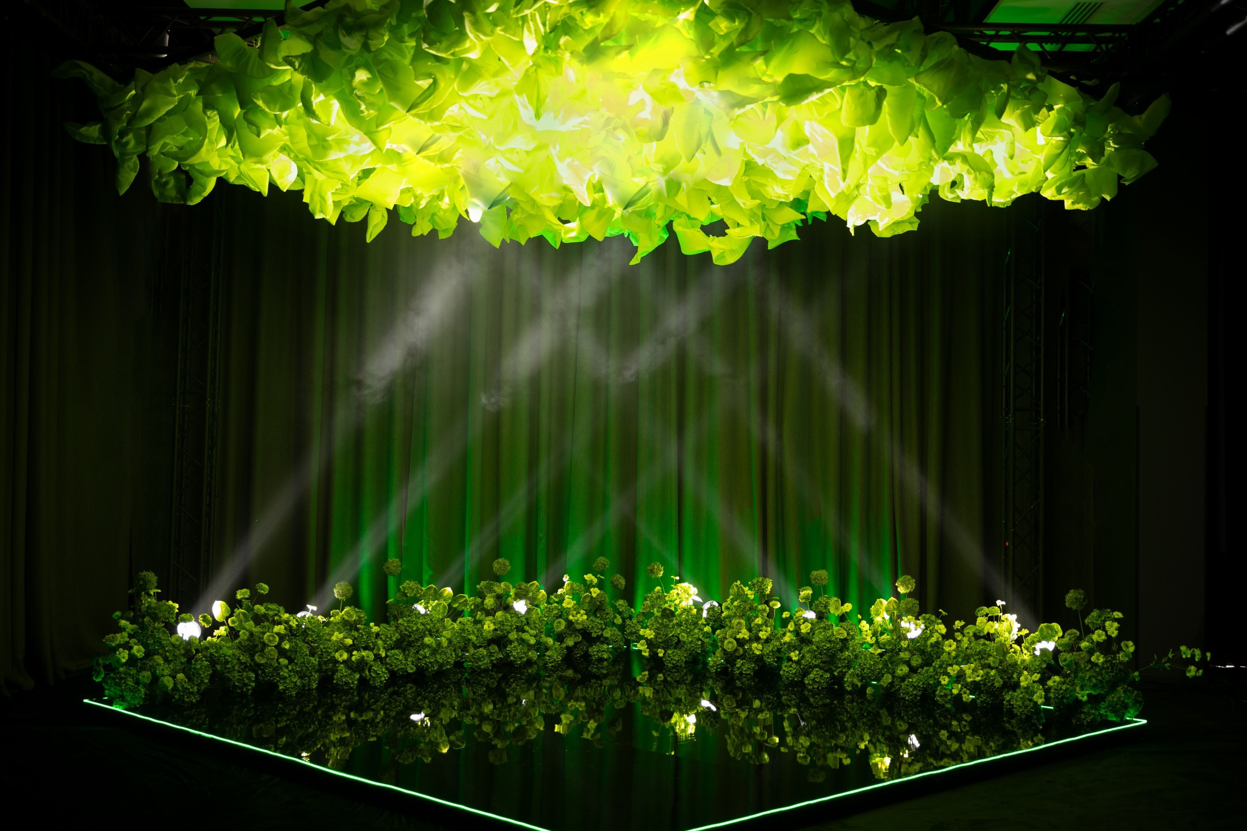 В/В. Вебер Юлия фотограф Ростов-на-Дону