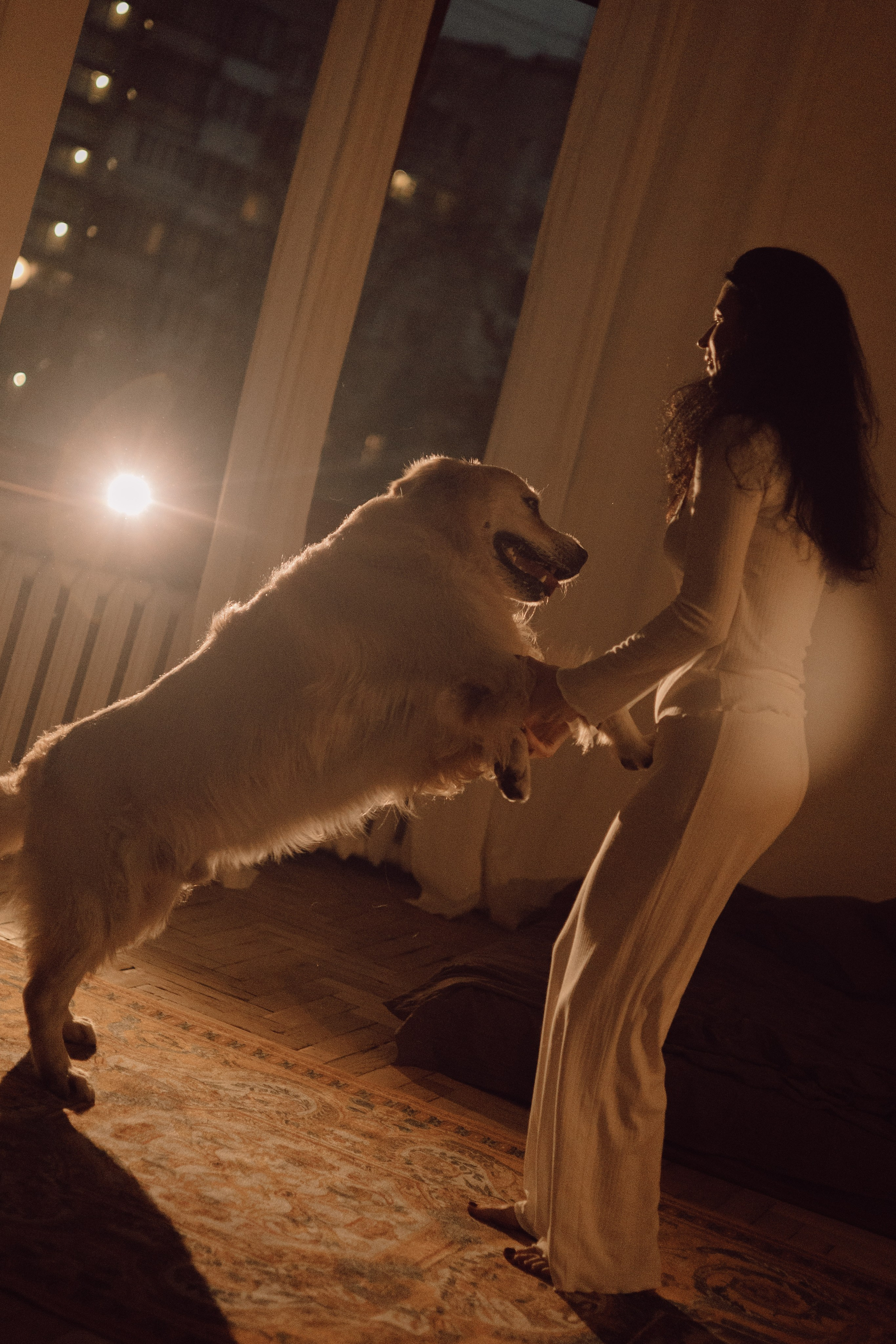 Лёва и его семья. Фотограф — анималист •love-story•|Санкт-Петербург