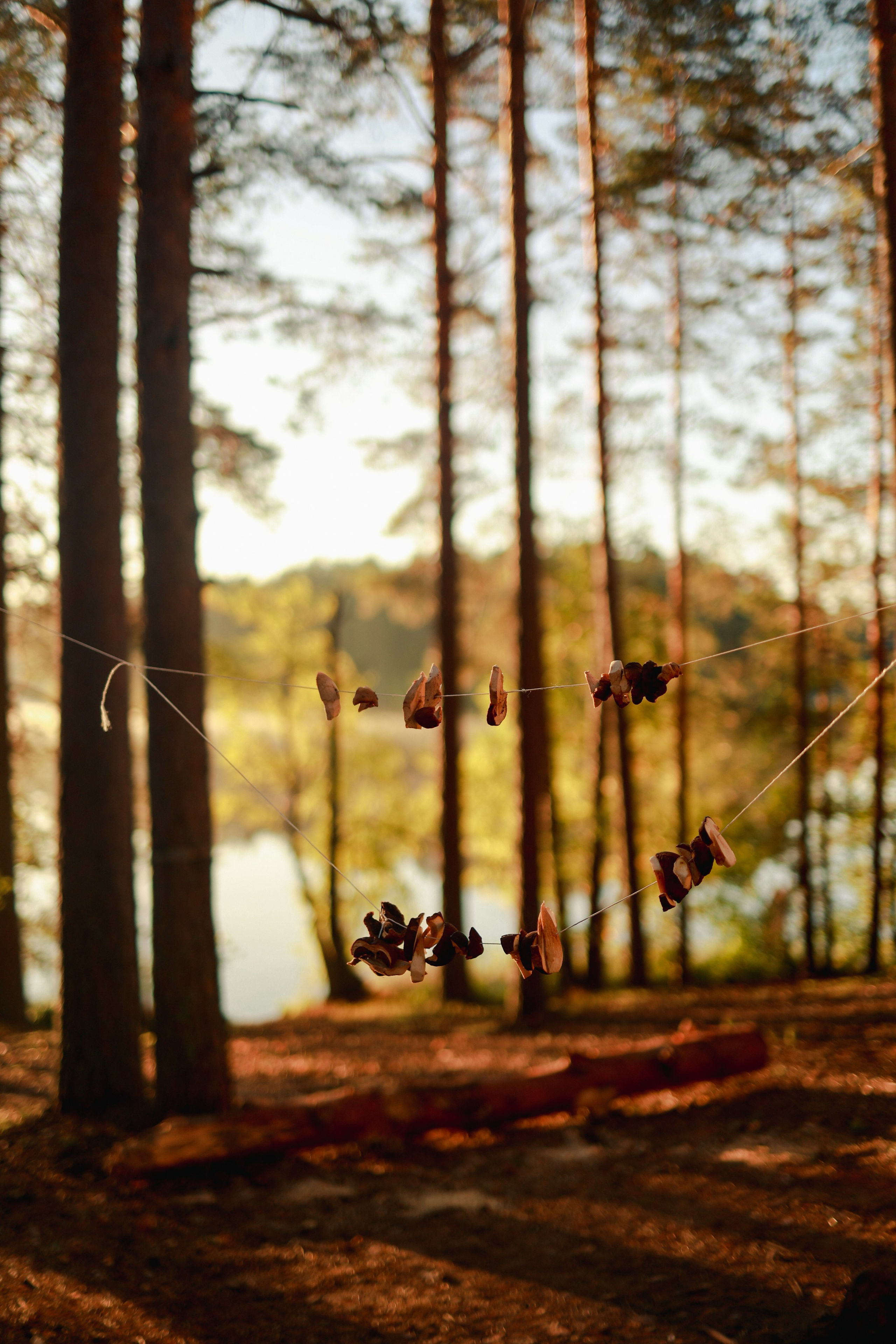 Фестиваль Hello Camper закрытие 2024. Репортажный и портретный фотограф в Санктпетербурге. Видиосъемка мероприятий в Санкт-Петербурге