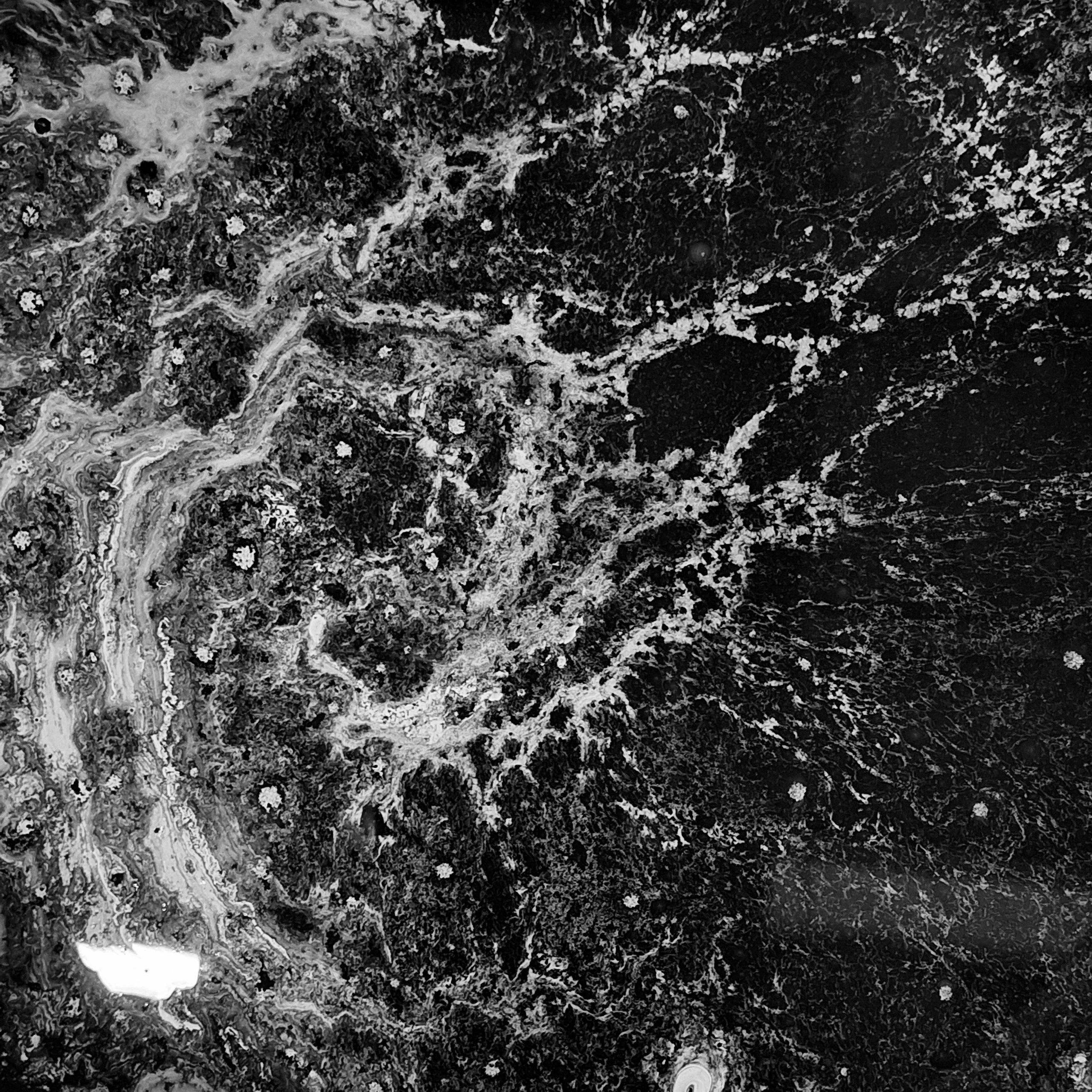 ㅤㅤ. Анна Мильч