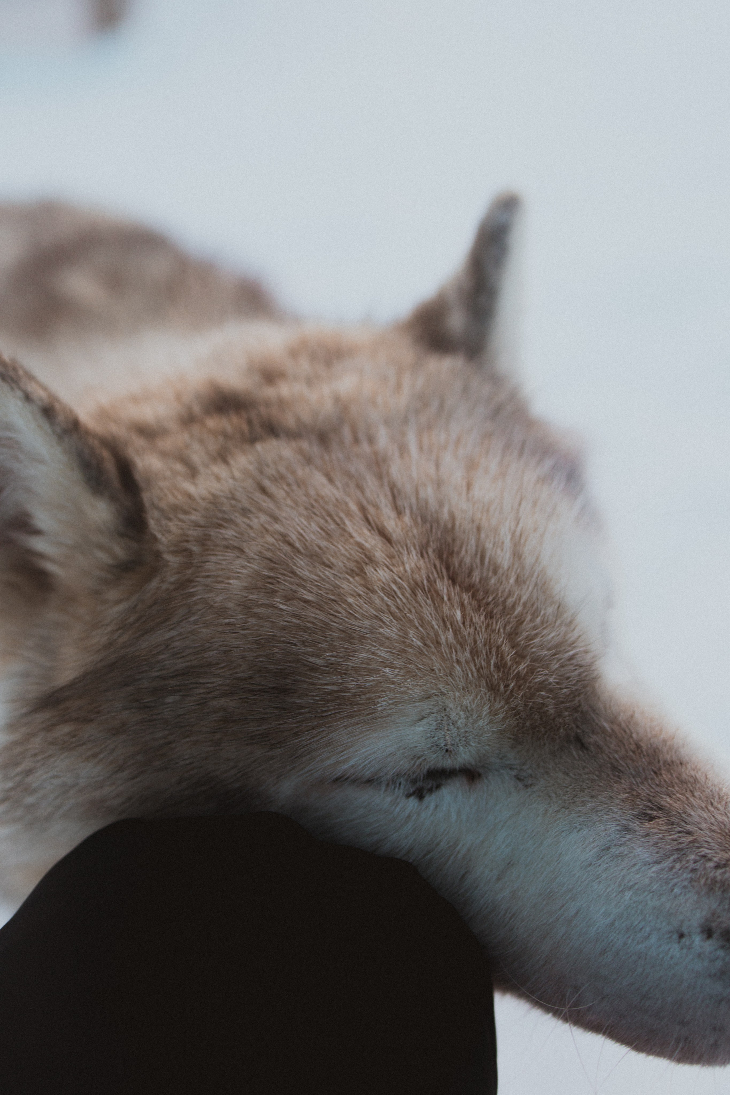 Териберка. Анна Мильч