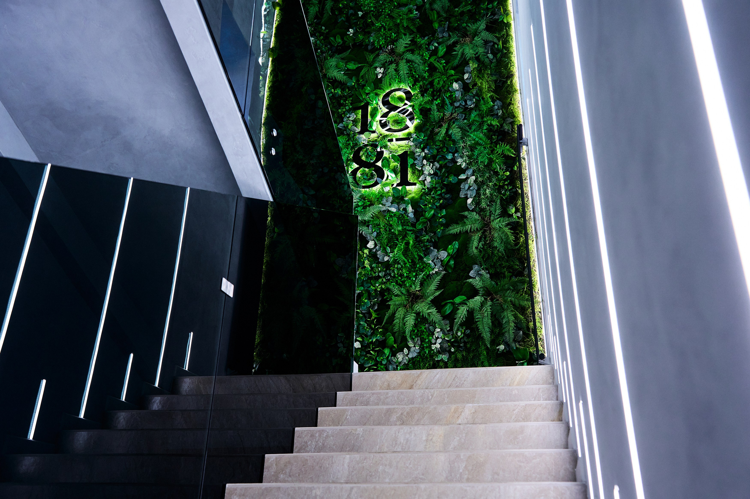 Интерьерная съемка 1881. Фотограф в Хабаровске