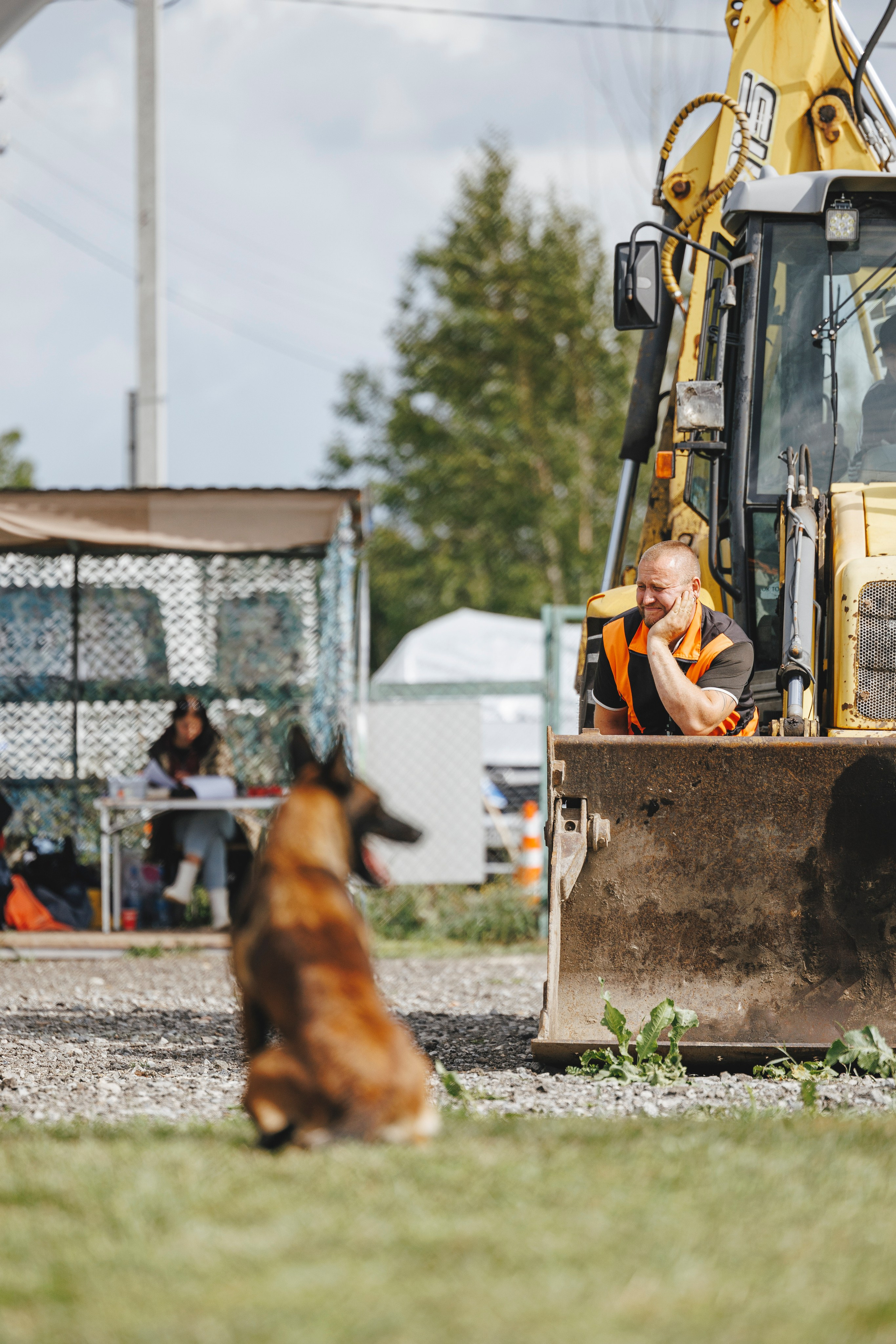 08.08.25-10.08.25 ЧР по мондьорингу г. Вологда. Фотограф-анималист Анна Маринич