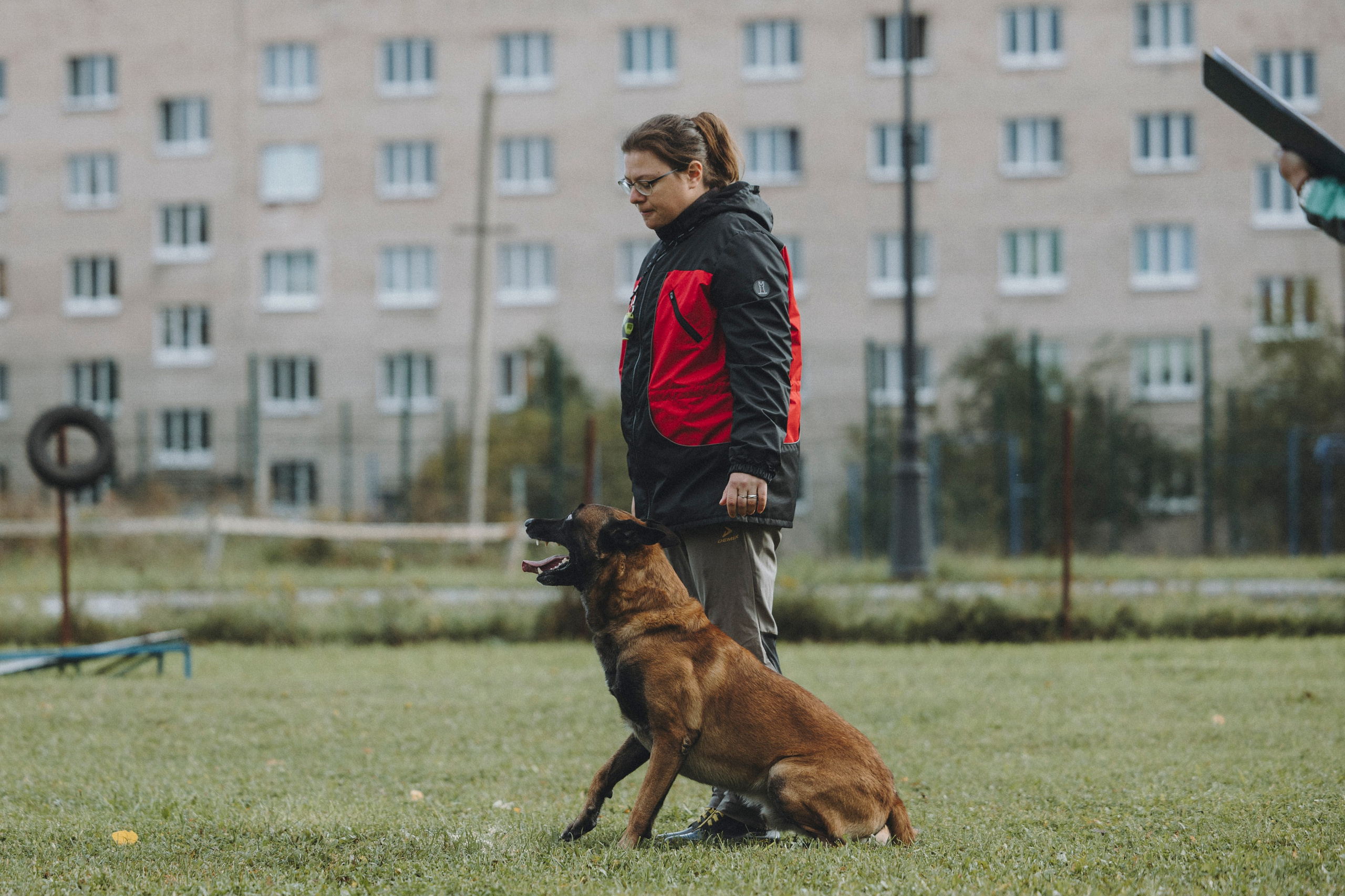 Испытания по мондьорингу г. Пушкин 29.09.2024. Фотограф-анималист Анна Маринич