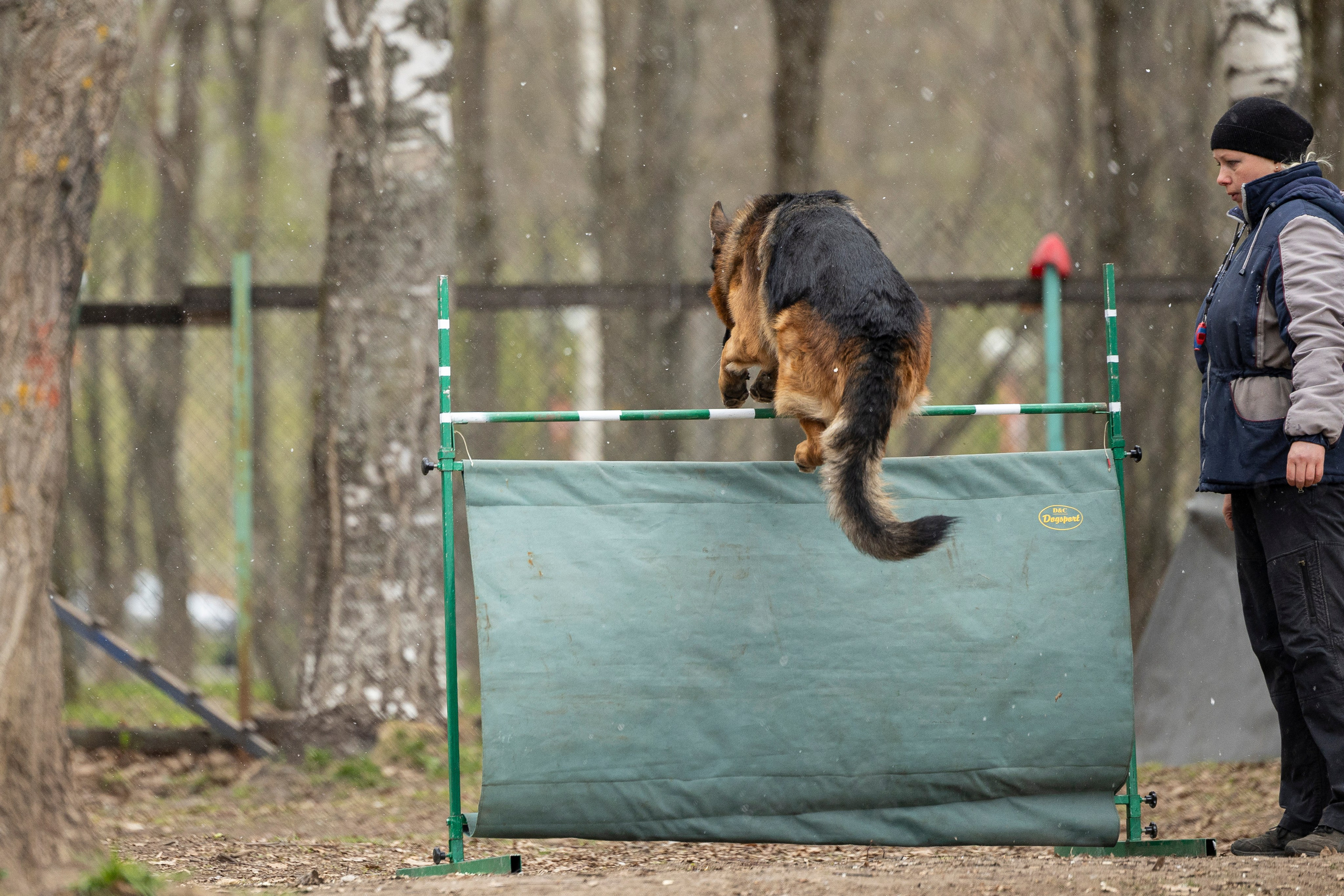 Квалификационные состязания по мондьорингу г. Вологда 11.05.24. Фотограф-анималист Анна Маринич