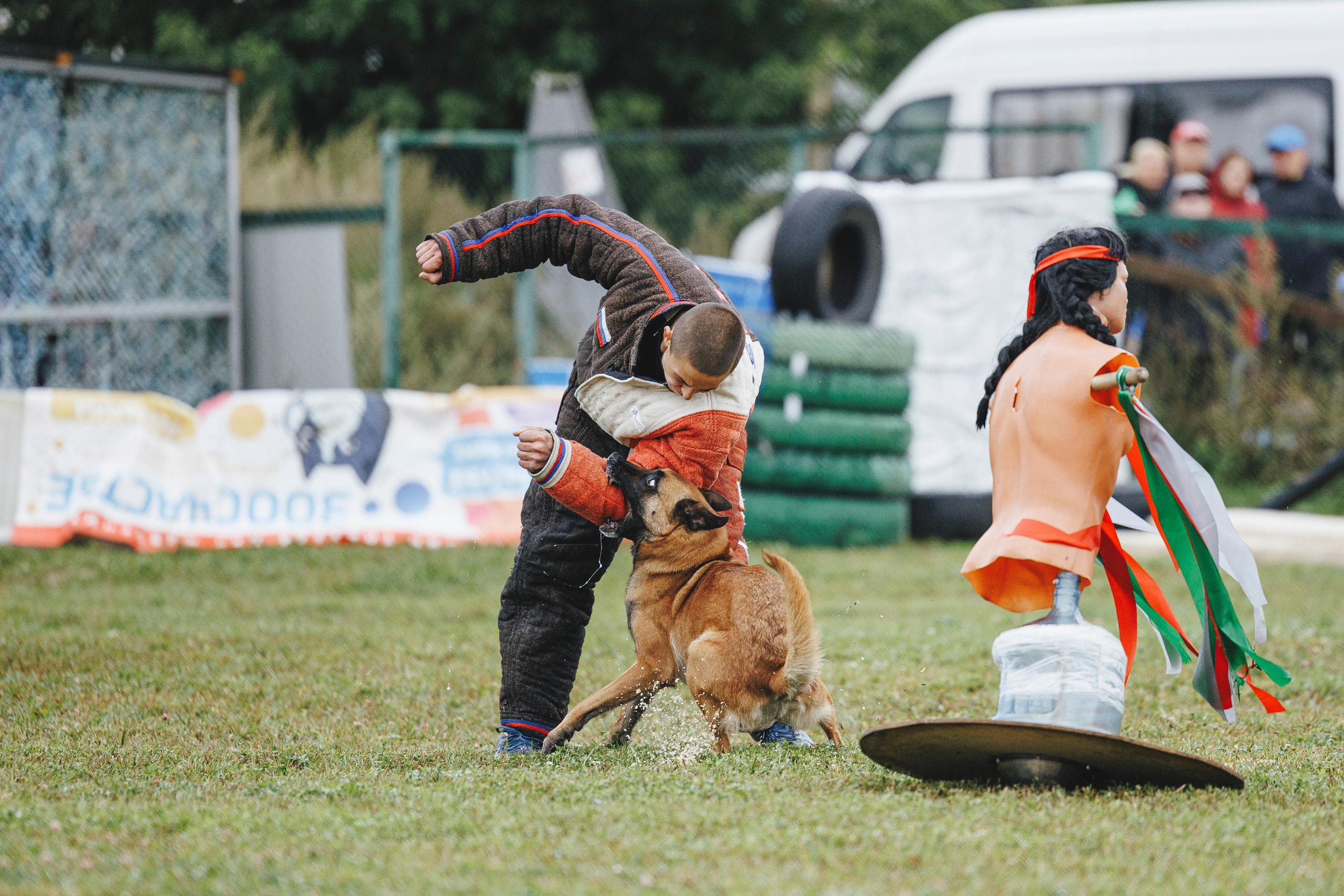 08.08.25-10.08.25 ЧР по мондьорингу г. Вологда. Фотограф-анималист Анна Маринич