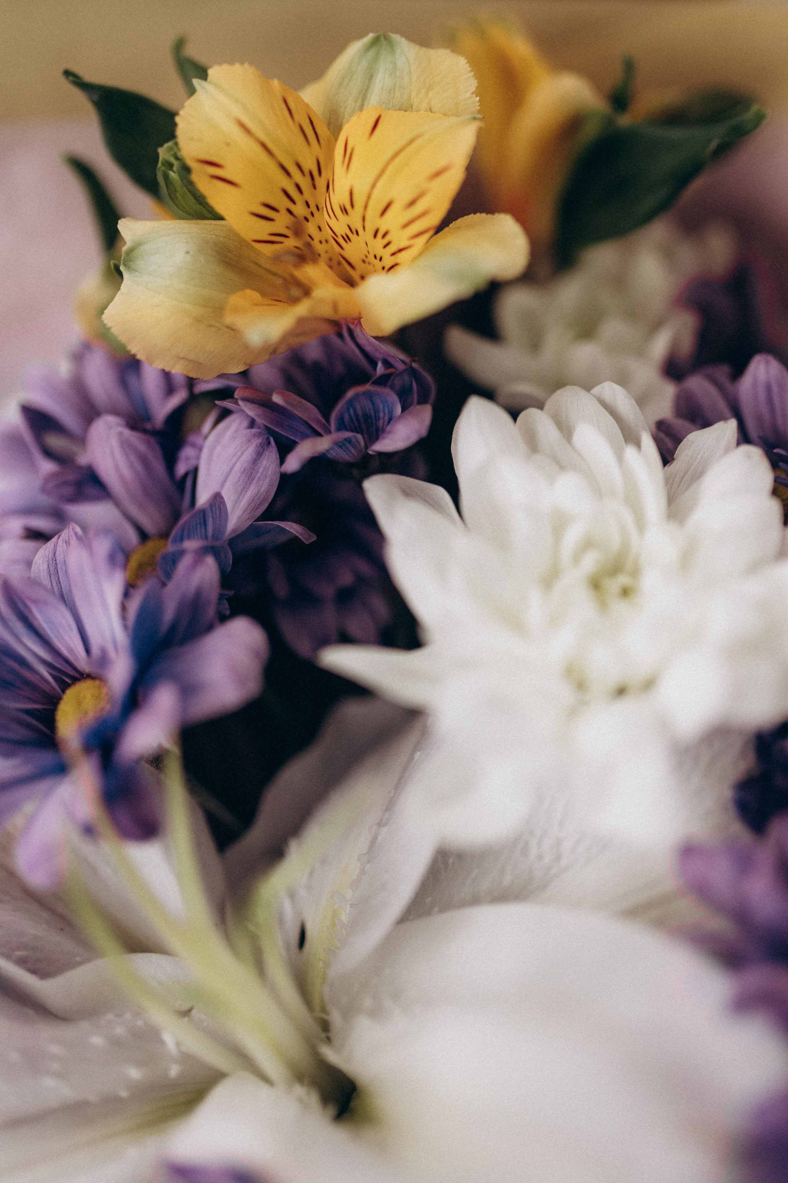 Юлия & Андрей. Фотограф НОГИНСК, Москва, Анастасия Белая