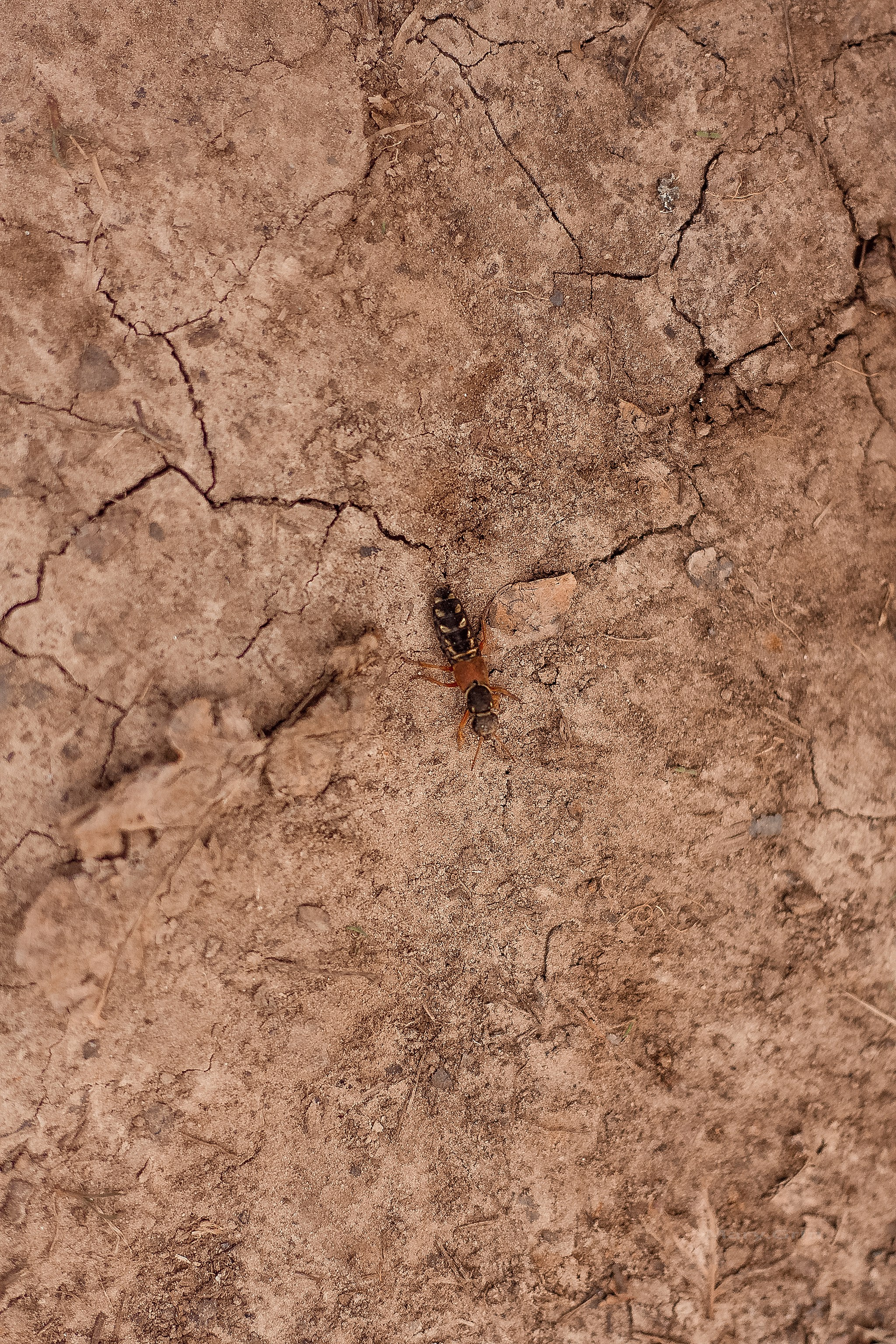 Майские за городом. Детский и семейный фотограф, фотограф мероприятий Нижний Новгород