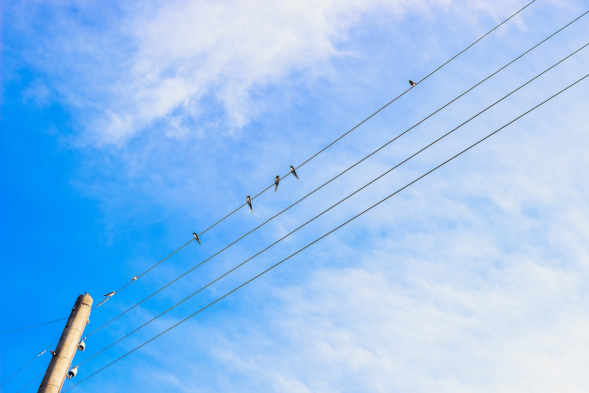 Русская деревня. Детский и семейный фотограф, фотограф мероприятий Нижний Новгород