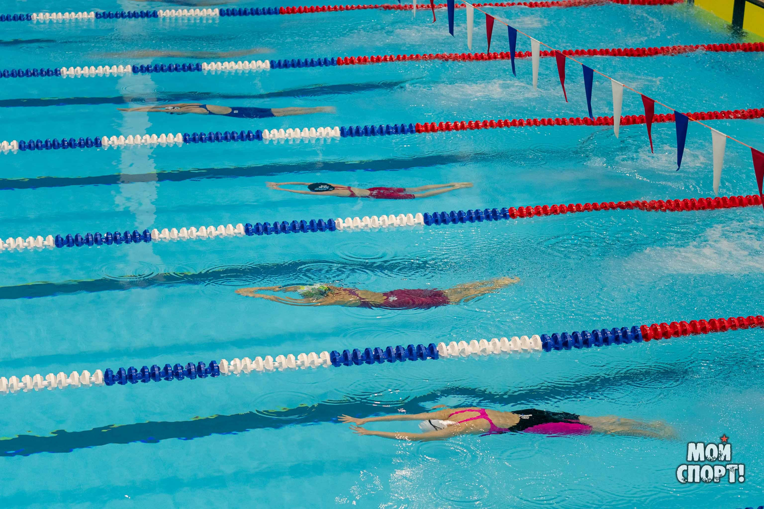 Соревнования по плаванию на призы Деда Мороза. Студия «Мой Спорт!» — все о спорте в Якутии