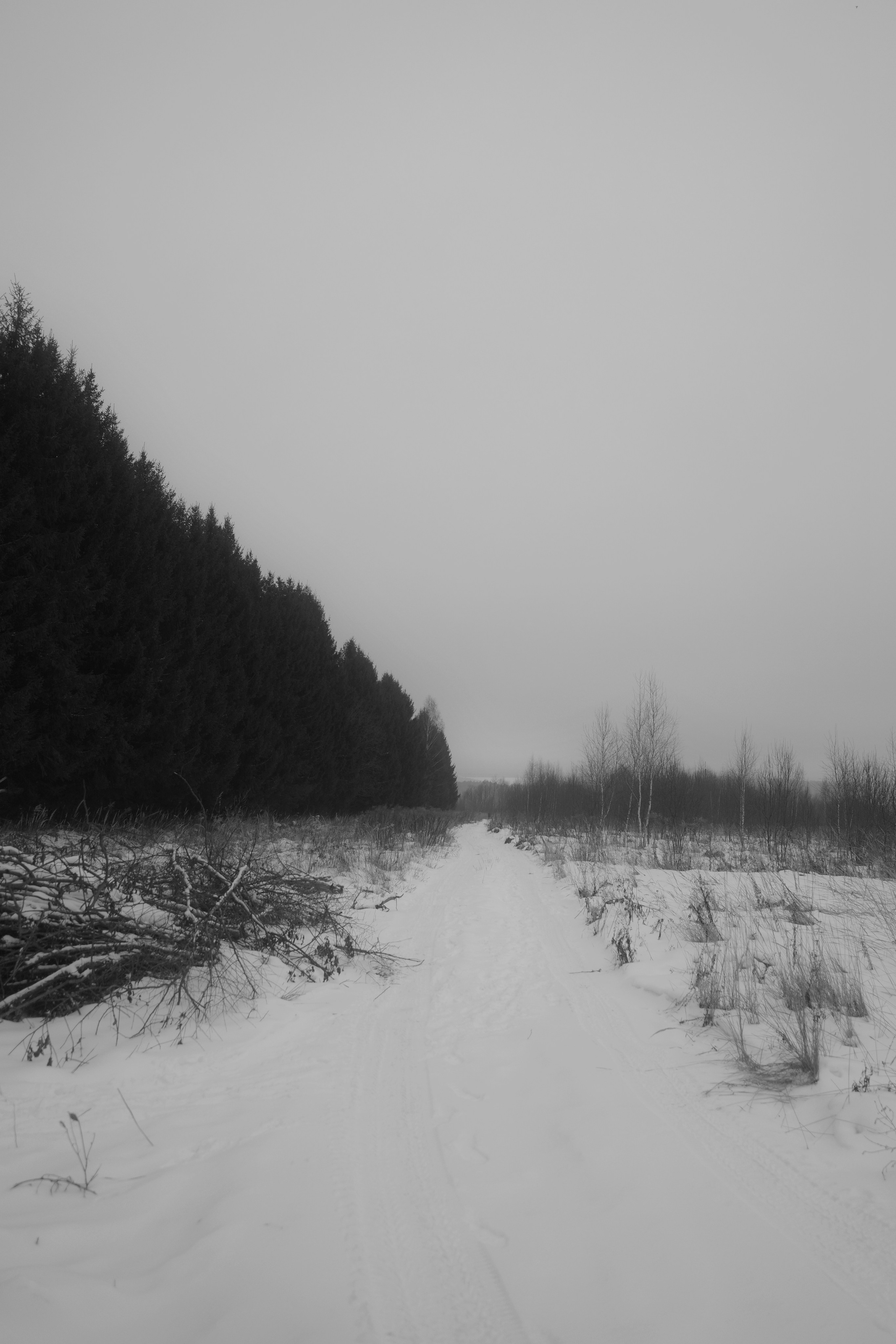 — 2025. Фотограф Злата Спицына