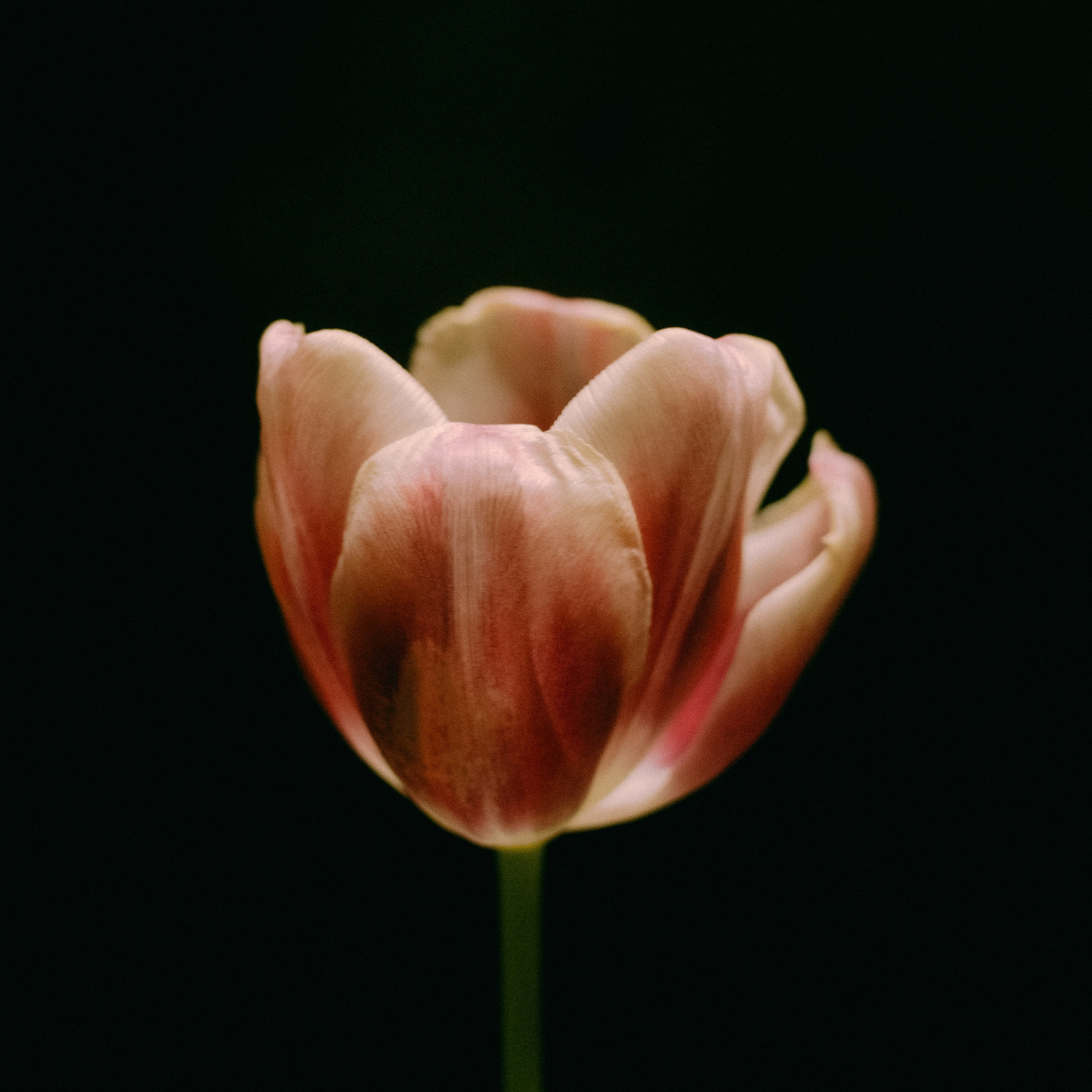 Дневник. Фотограф из Хакасии Элина Кичеева