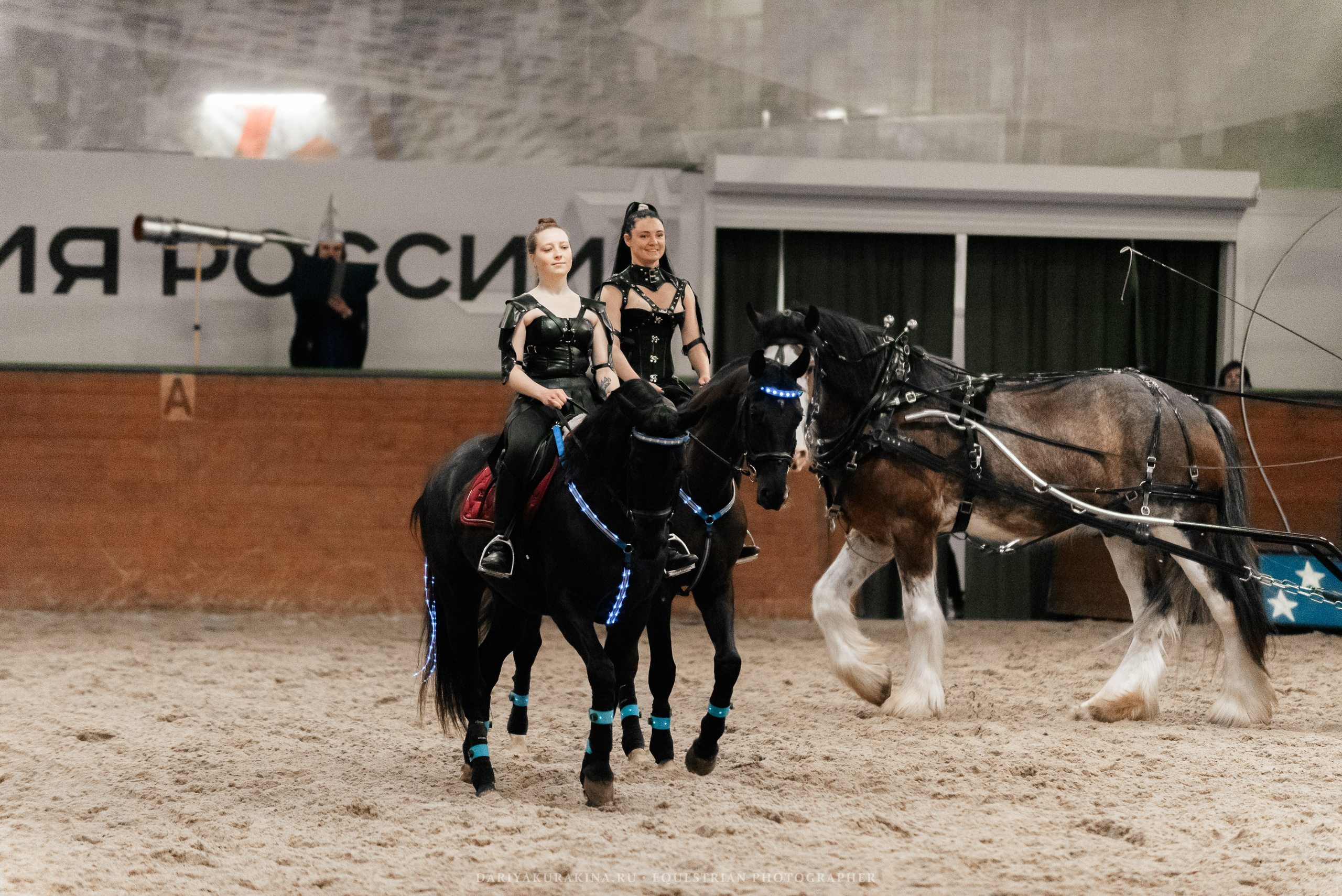 Конное представление «Дыхание Звёзд». Конный фотограф Куракина Дарья • Фотосессии с лошадьми