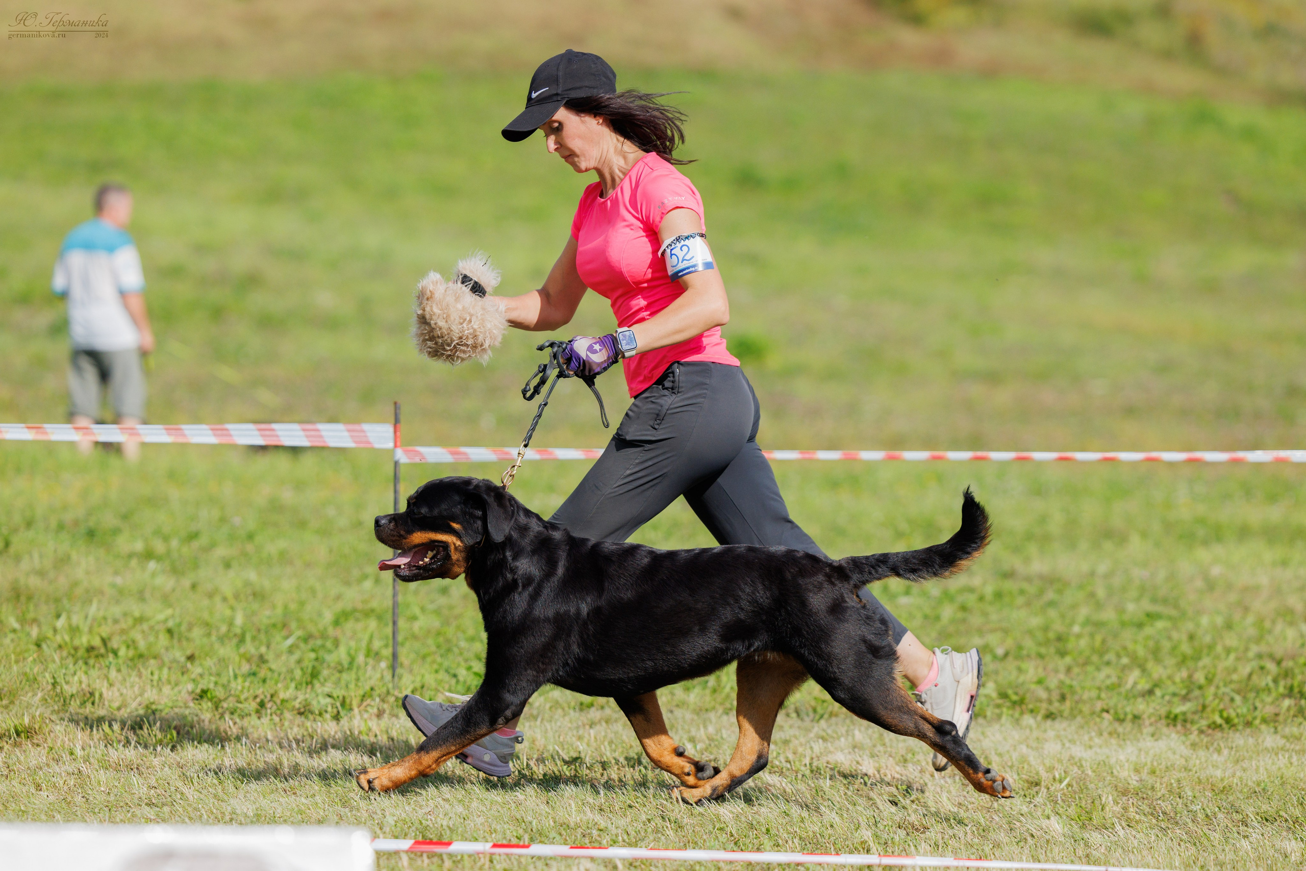 Рязань-Ховрино 10-11.08.2024 3хмоно ротвейлеров. Фотограф-анималист Юлия Германика