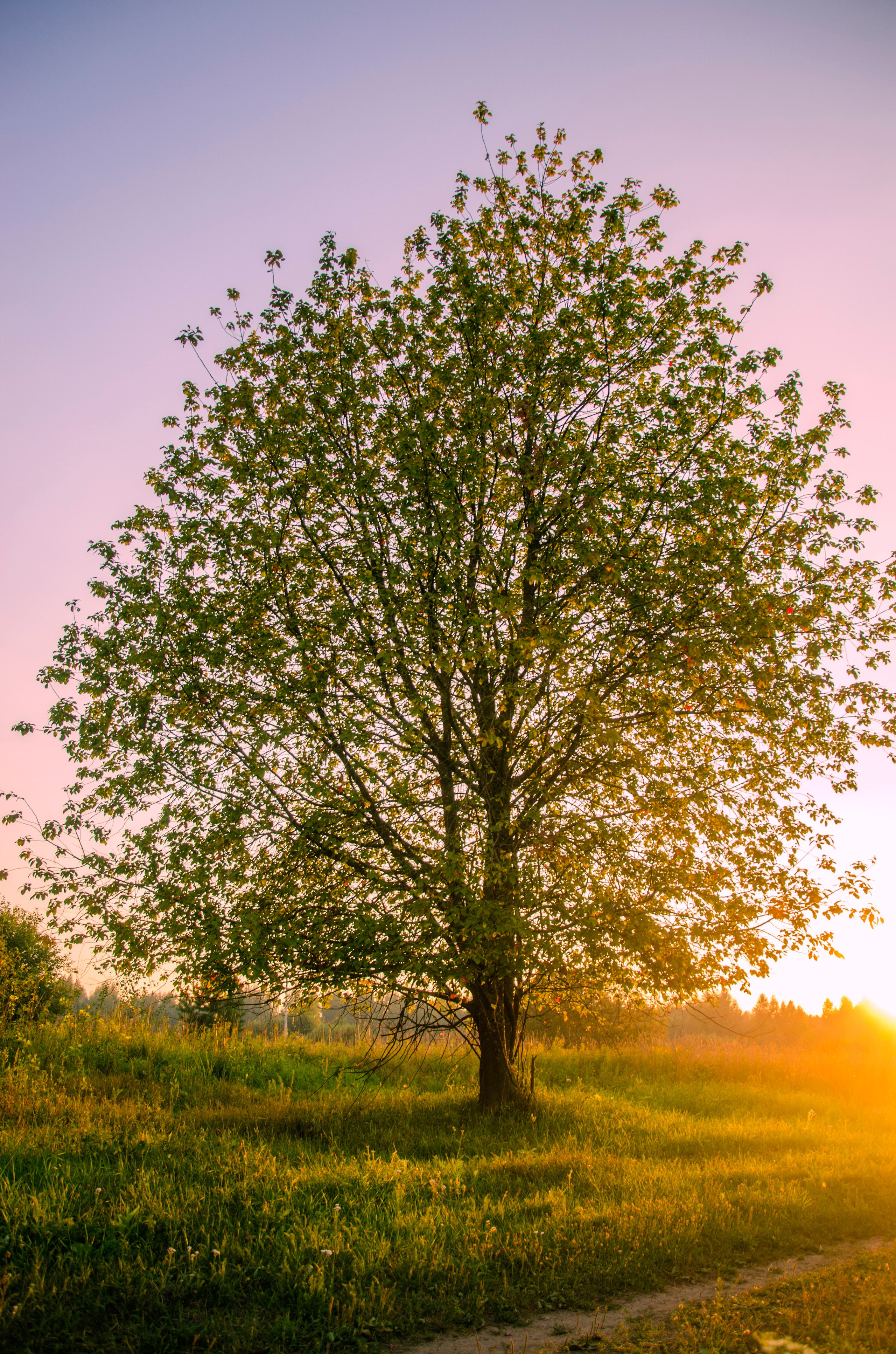 НАД ВОДОЙ. Фотограф Татьяна Андриянова