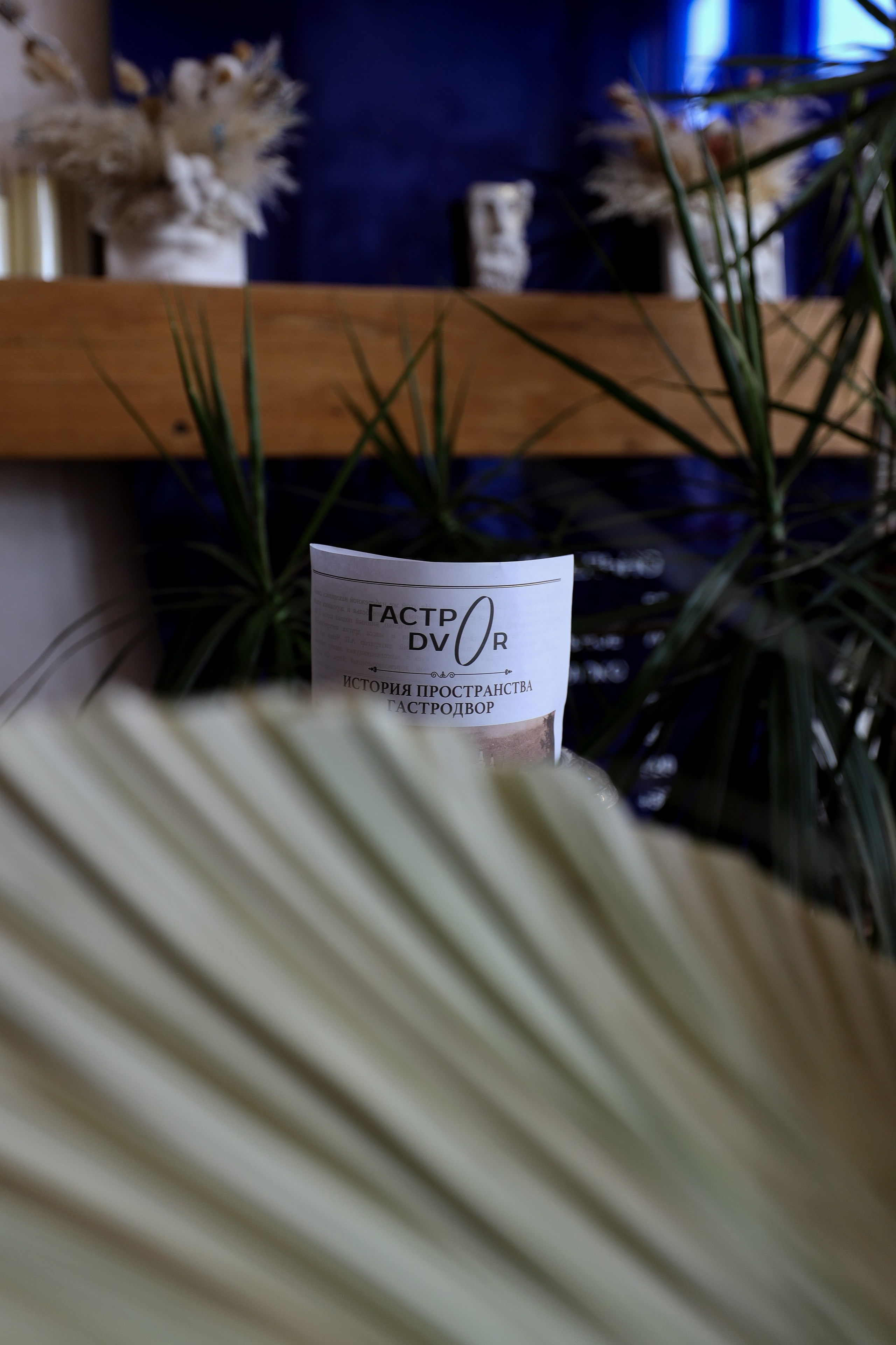 Gastrodvor 8 March. Дженбаз Павел — фотограф в Ялте